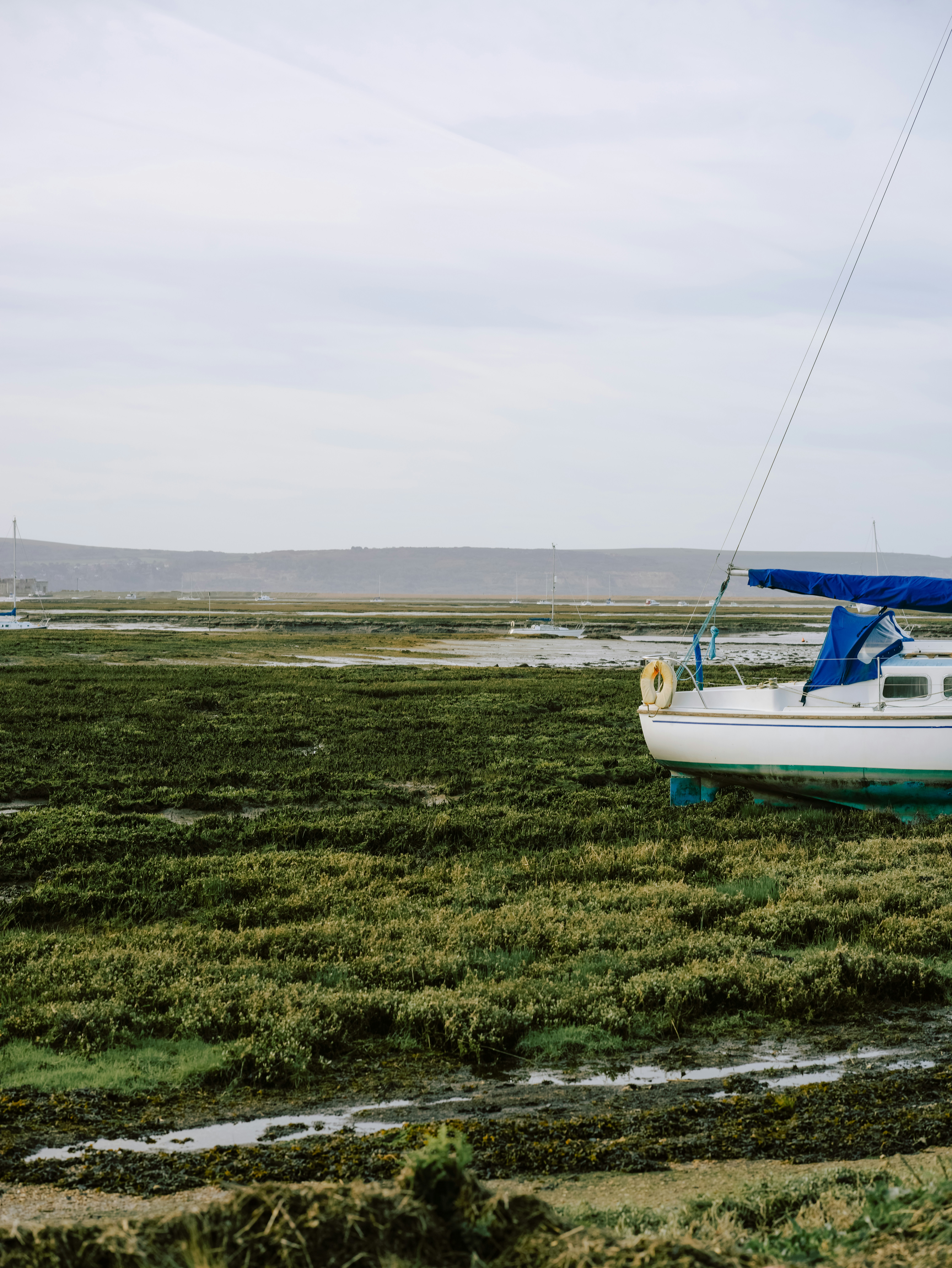 Photo by anniespratt