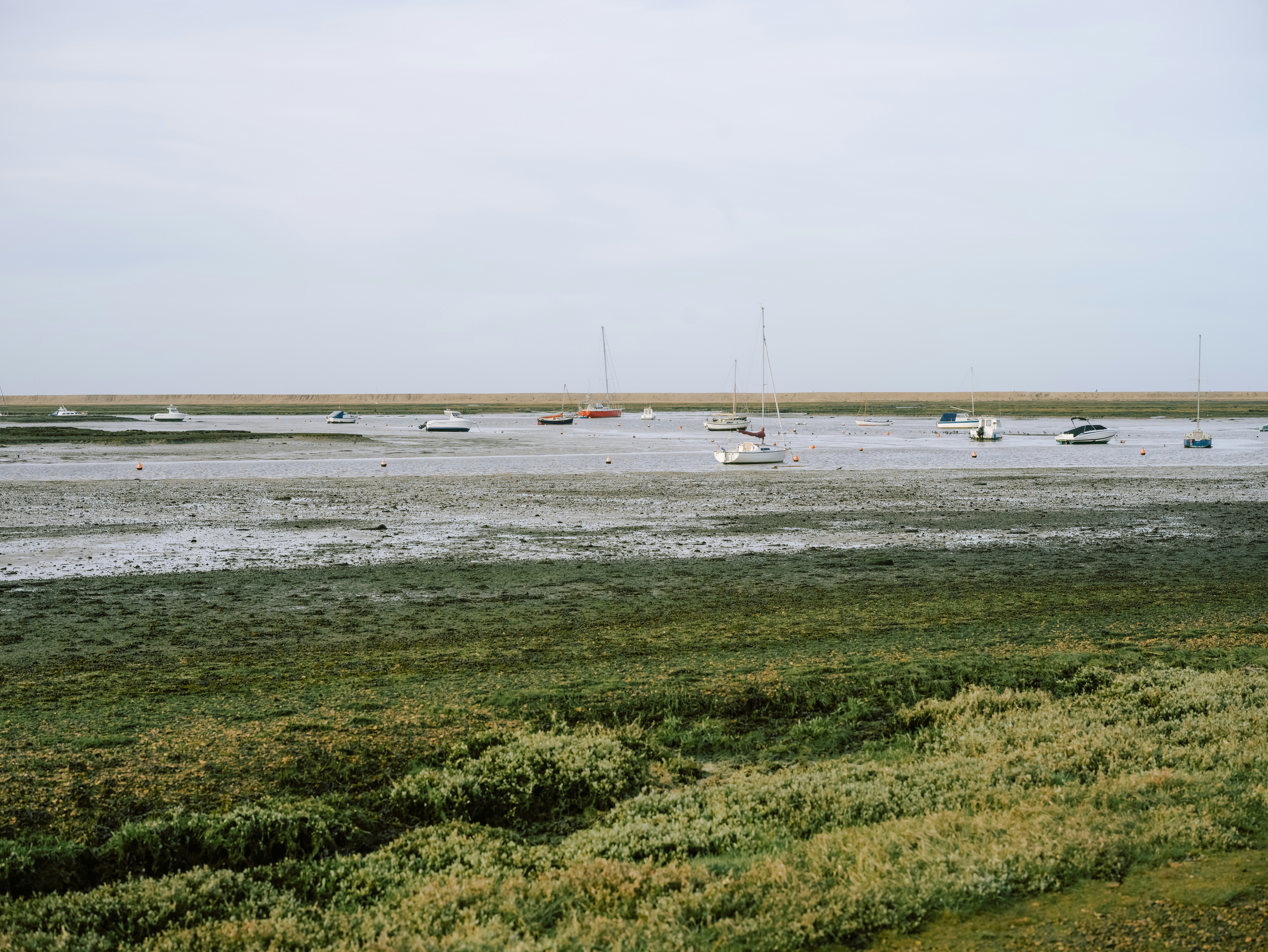 Photo by anniespratt