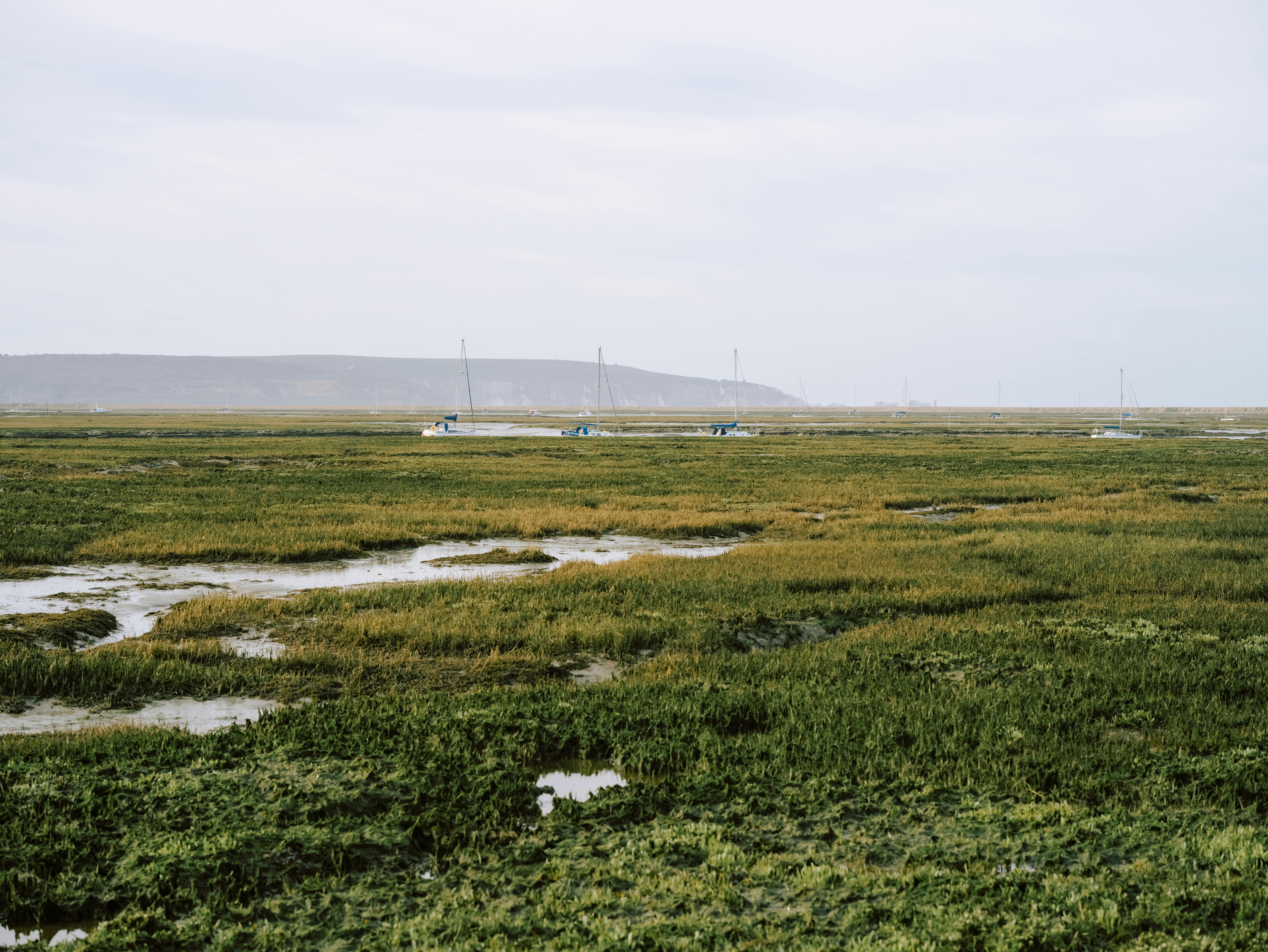 Photo by anniespratt