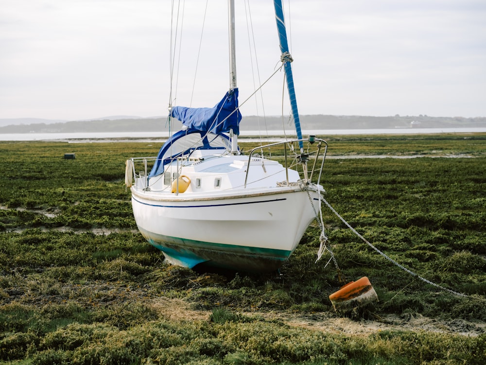 a sailboat sitting on top of a lush green field