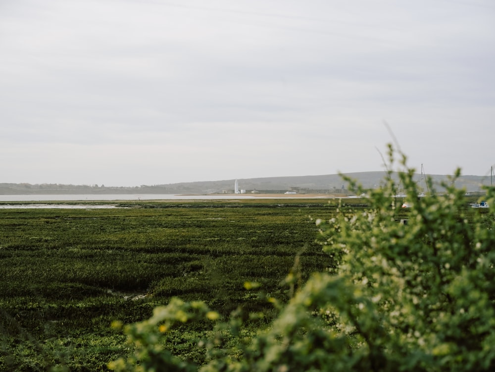 a grassy field with a body of water in the background