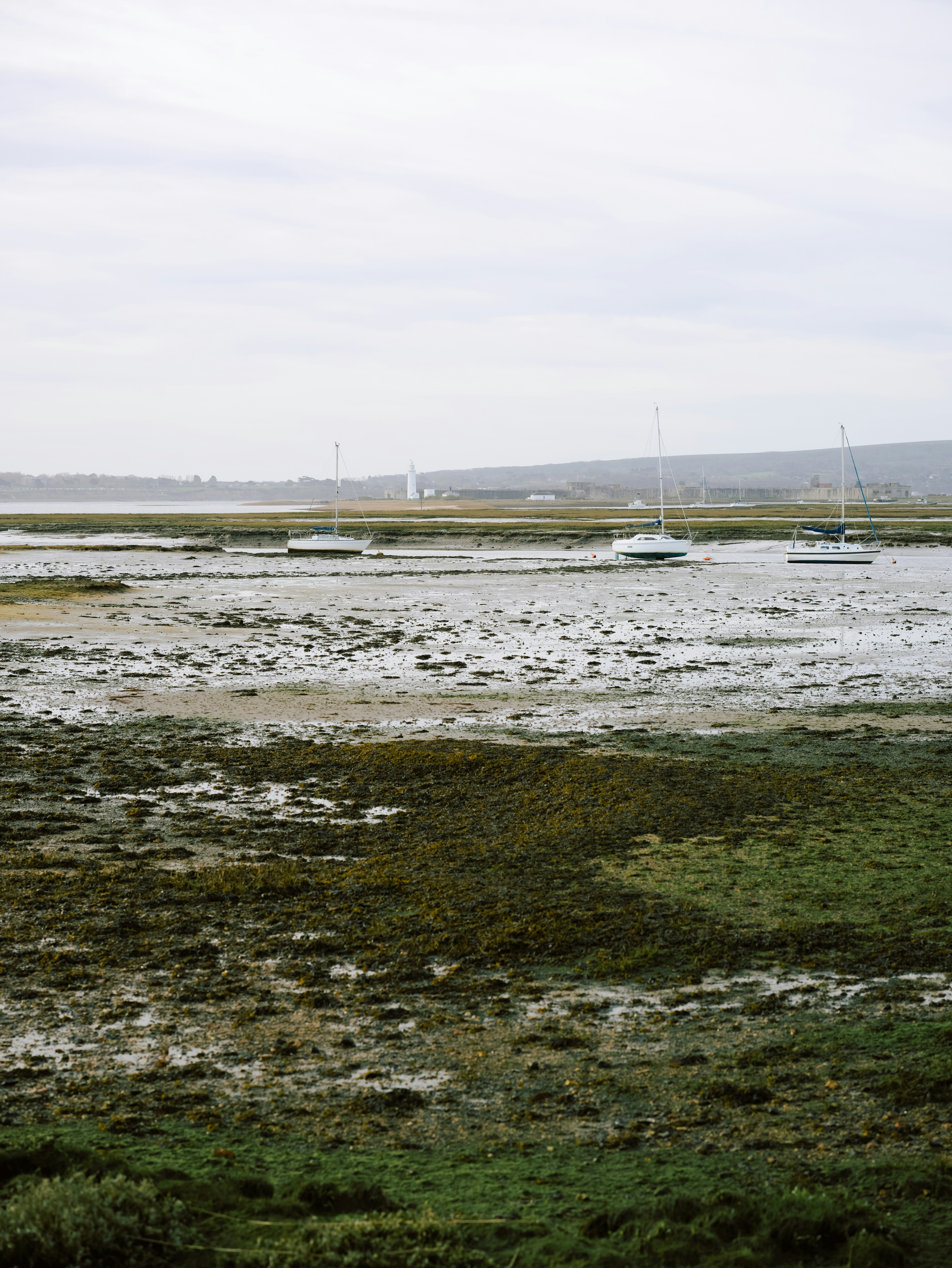 Photo by anniespratt