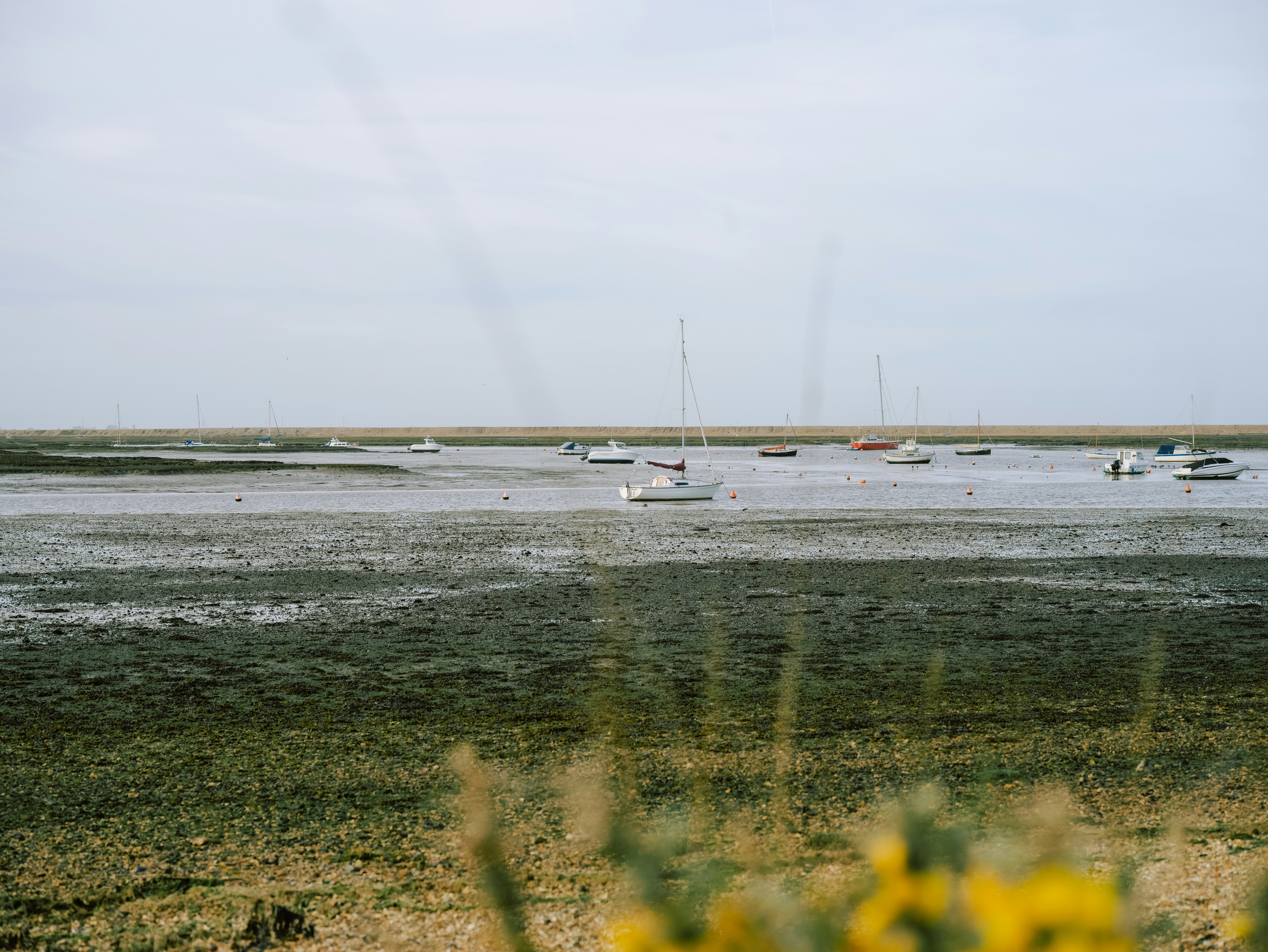 Photo by anniespratt