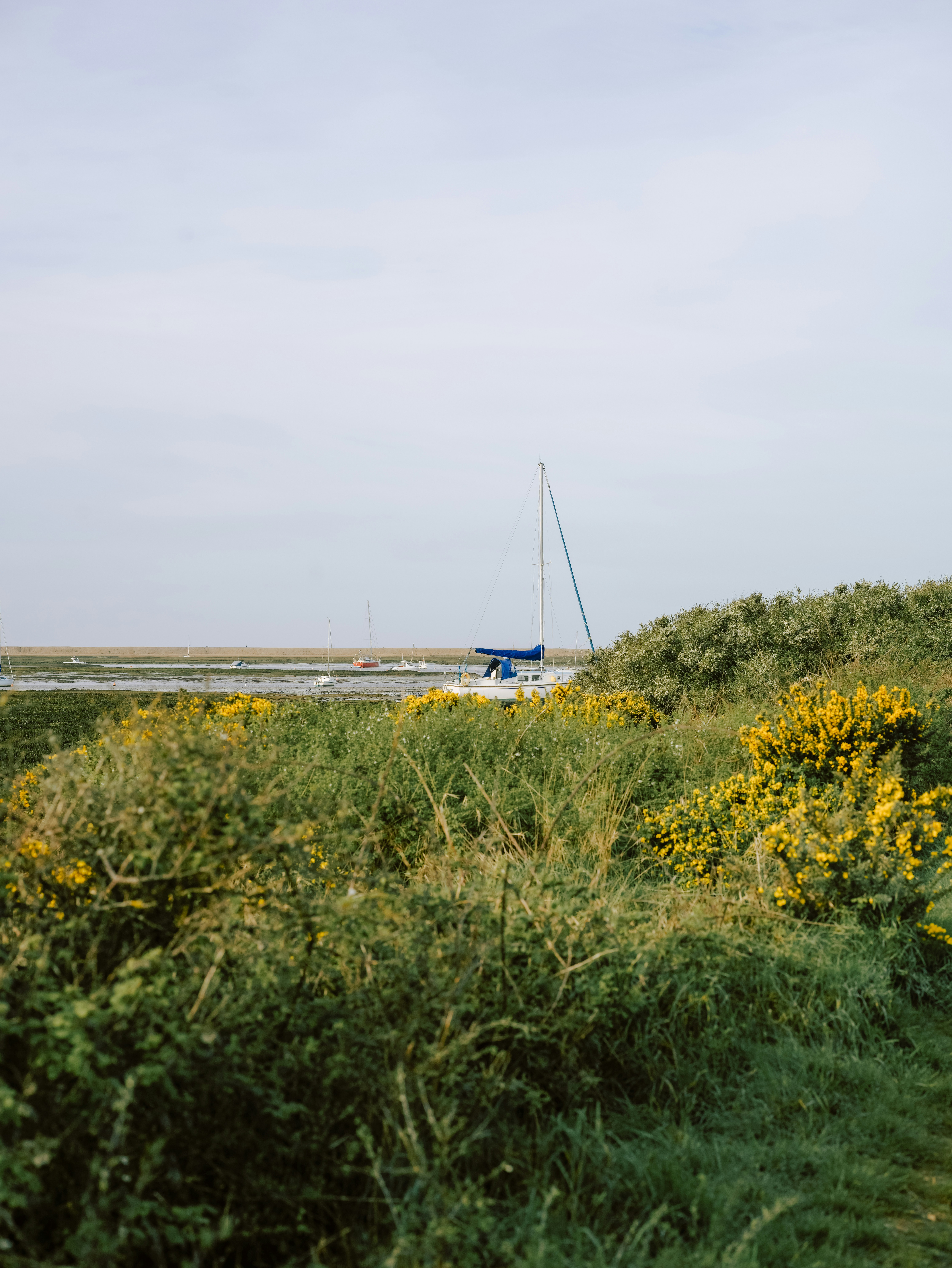 Photo by anniespratt