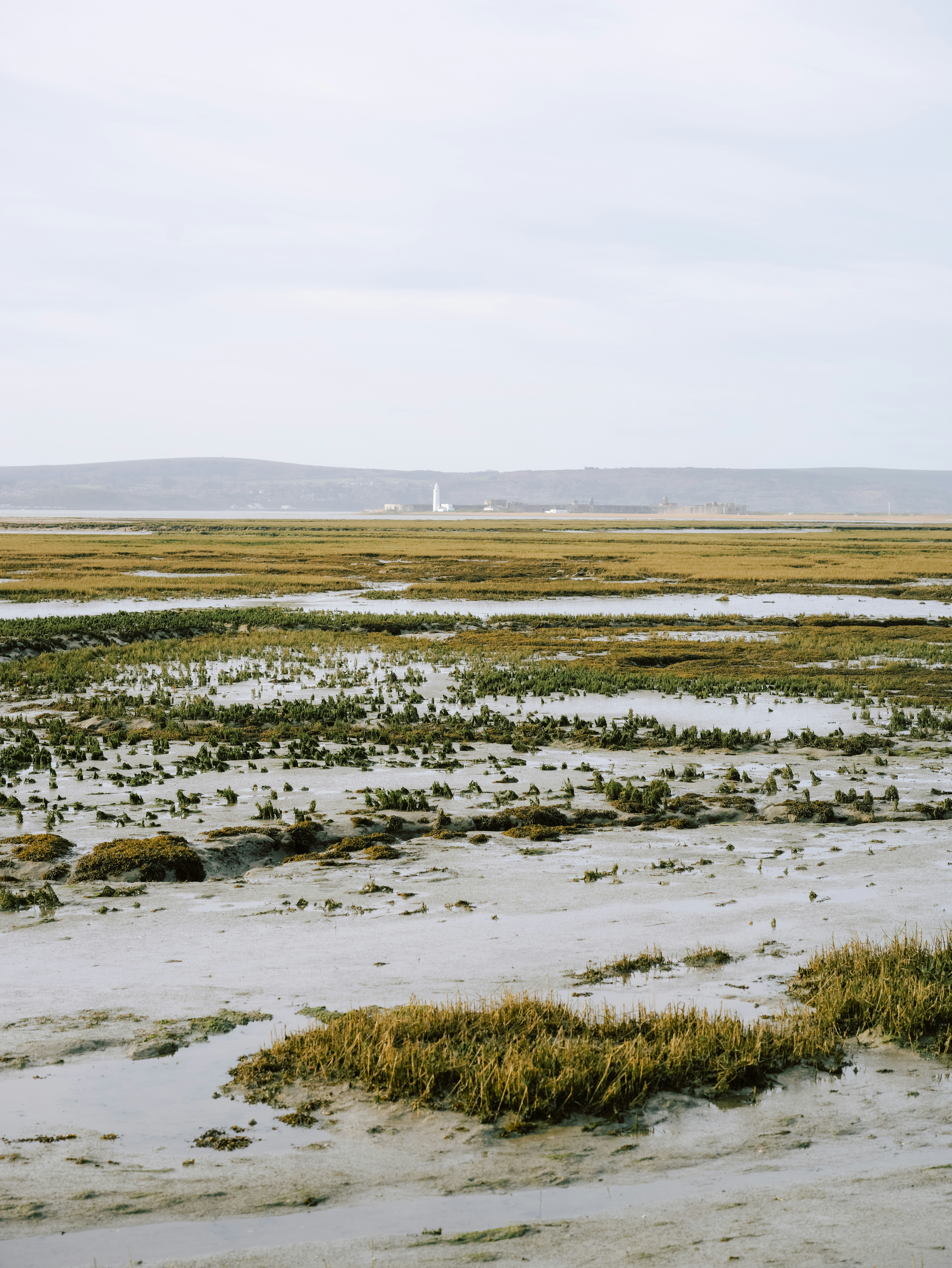 Photo by anniespratt