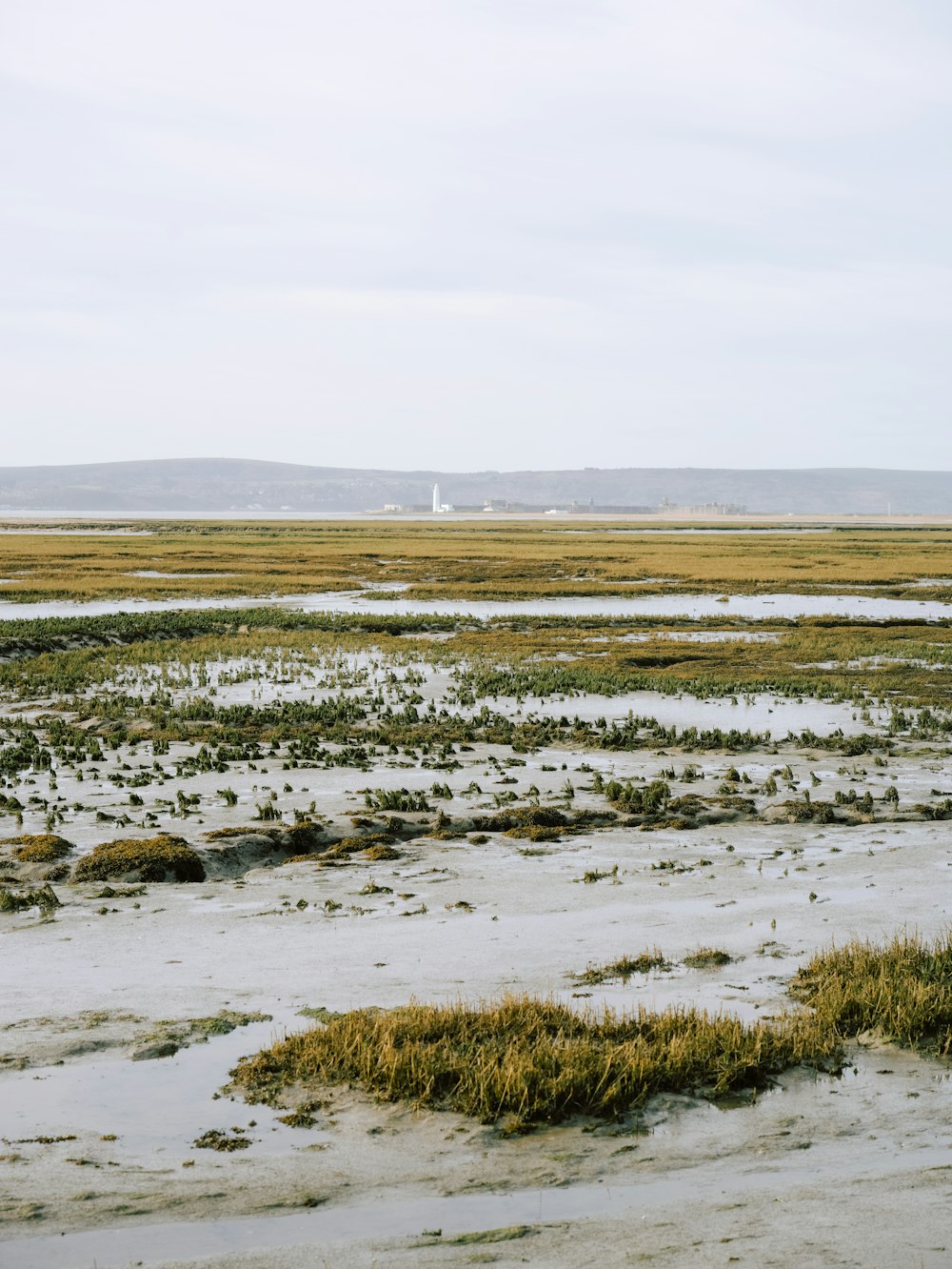 a field with a lighthouse in the distance