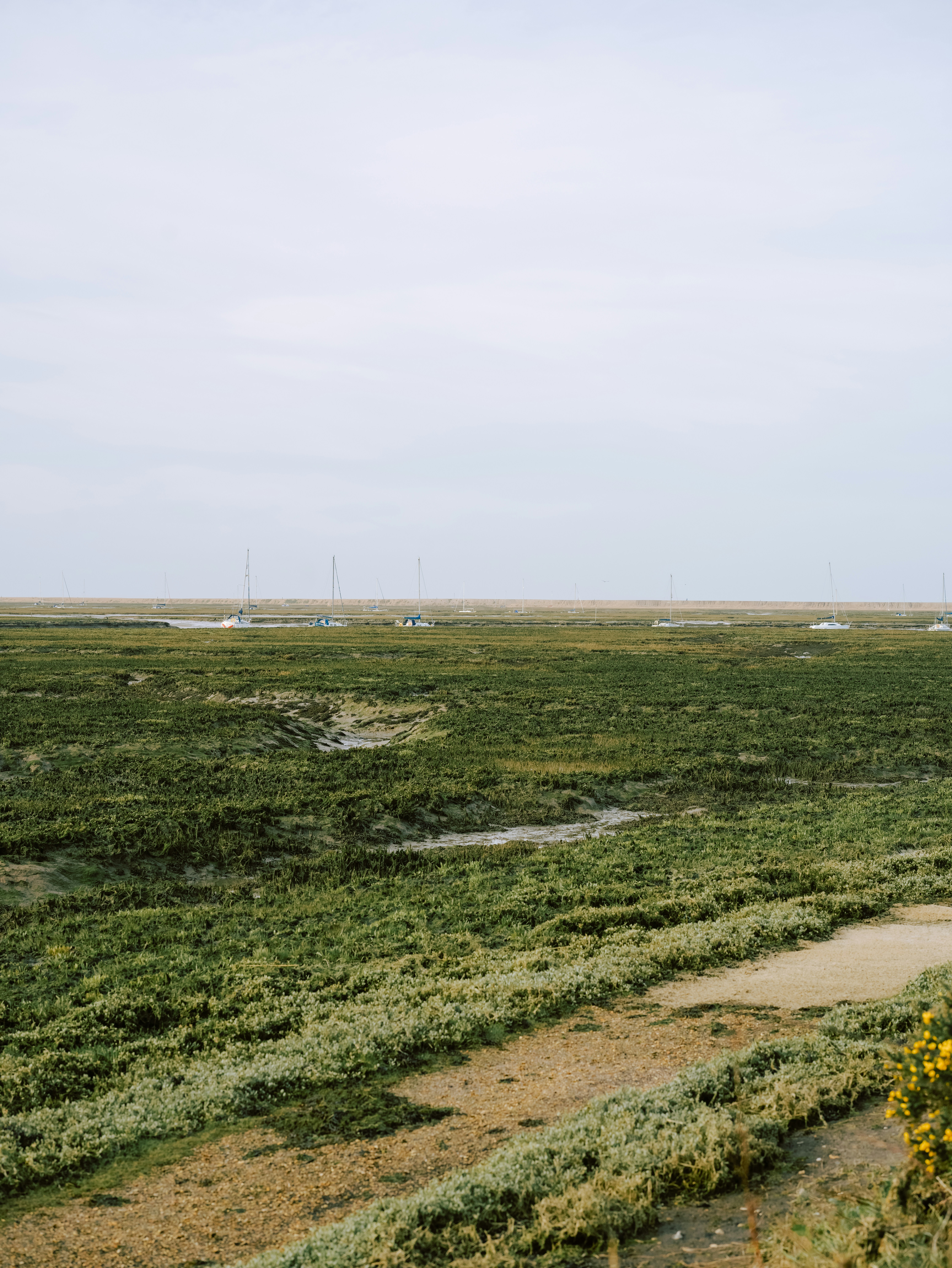 Photo by anniespratt