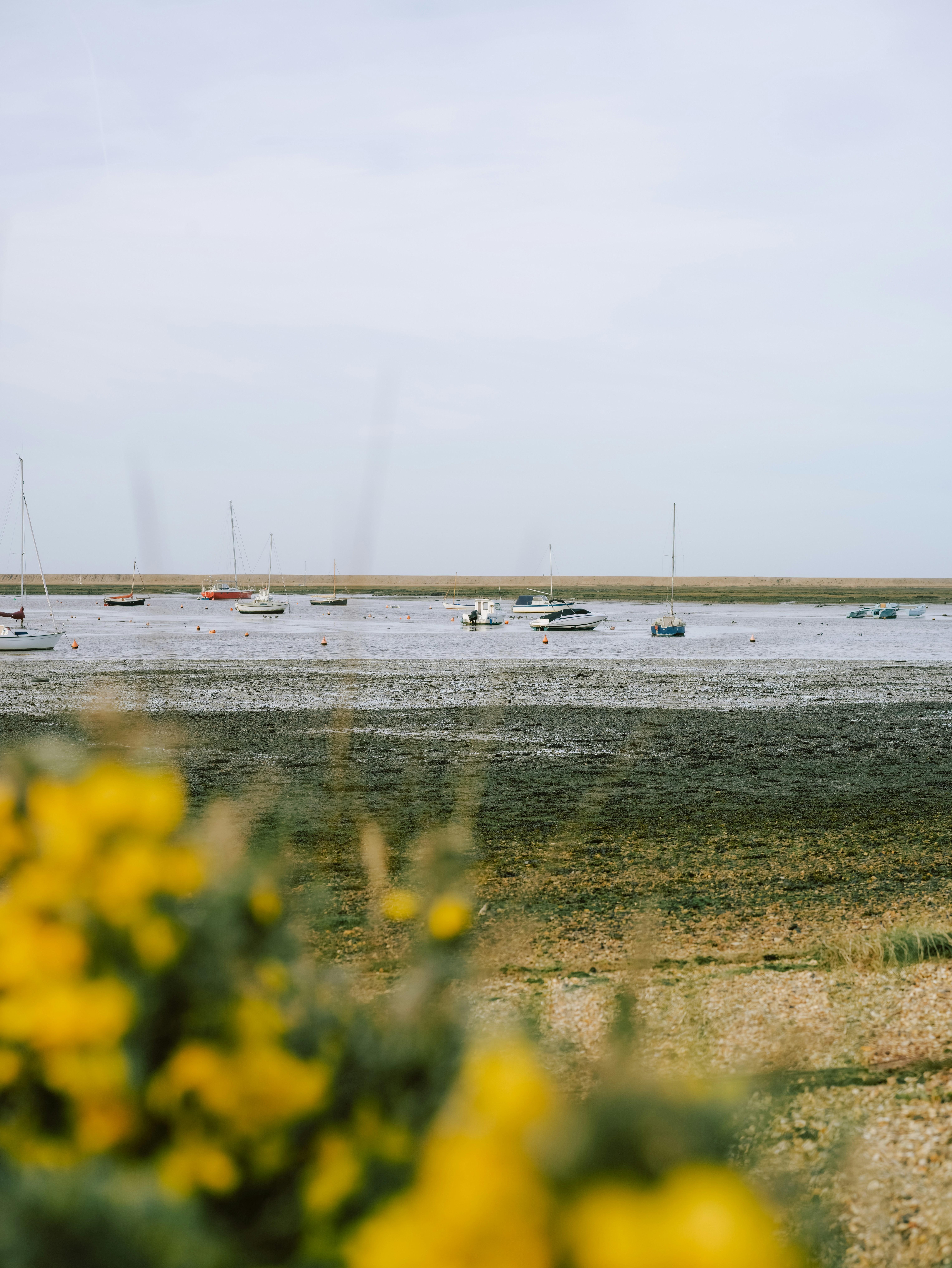 Photo by anniespratt