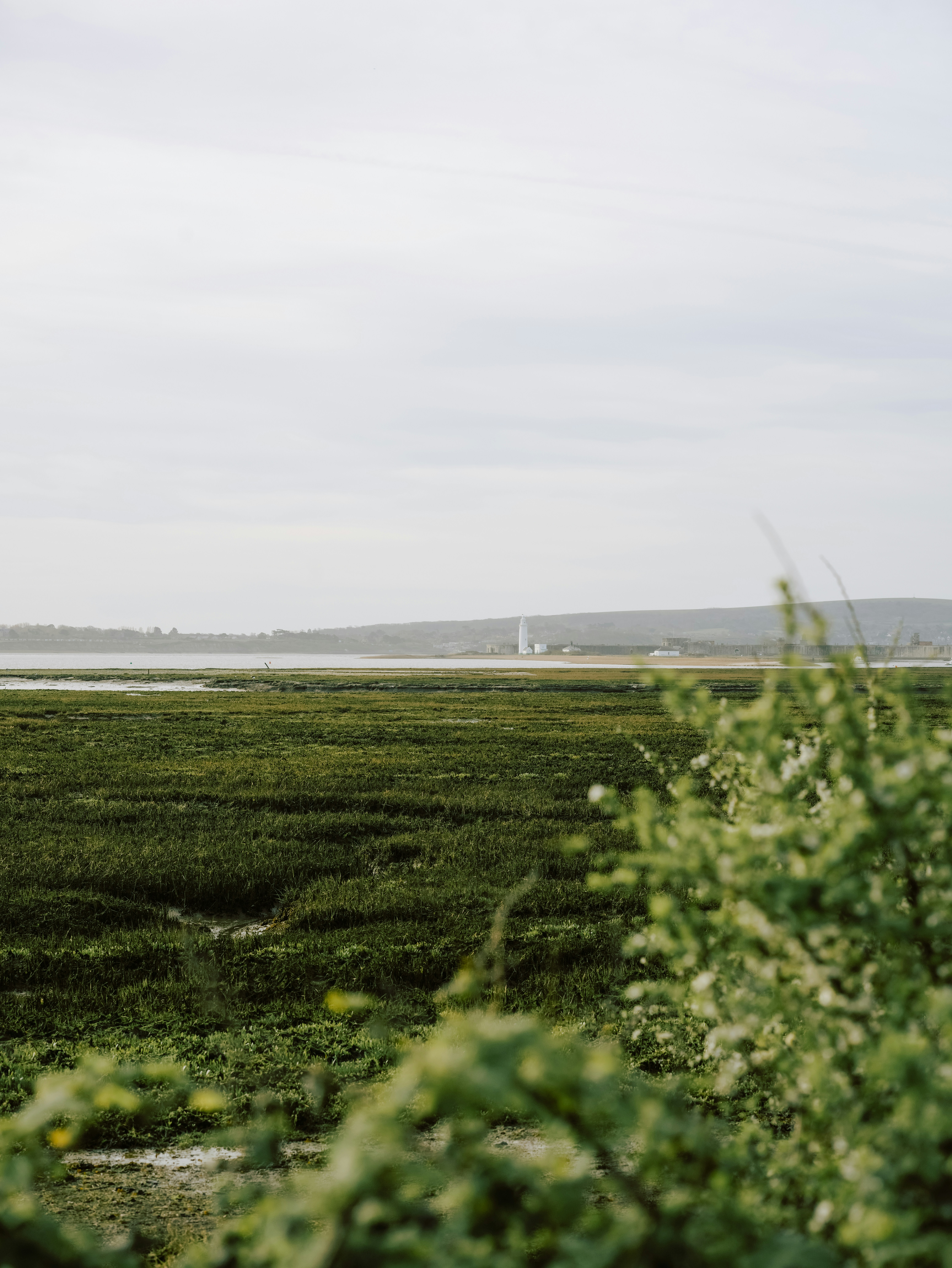 Photo by anniespratt