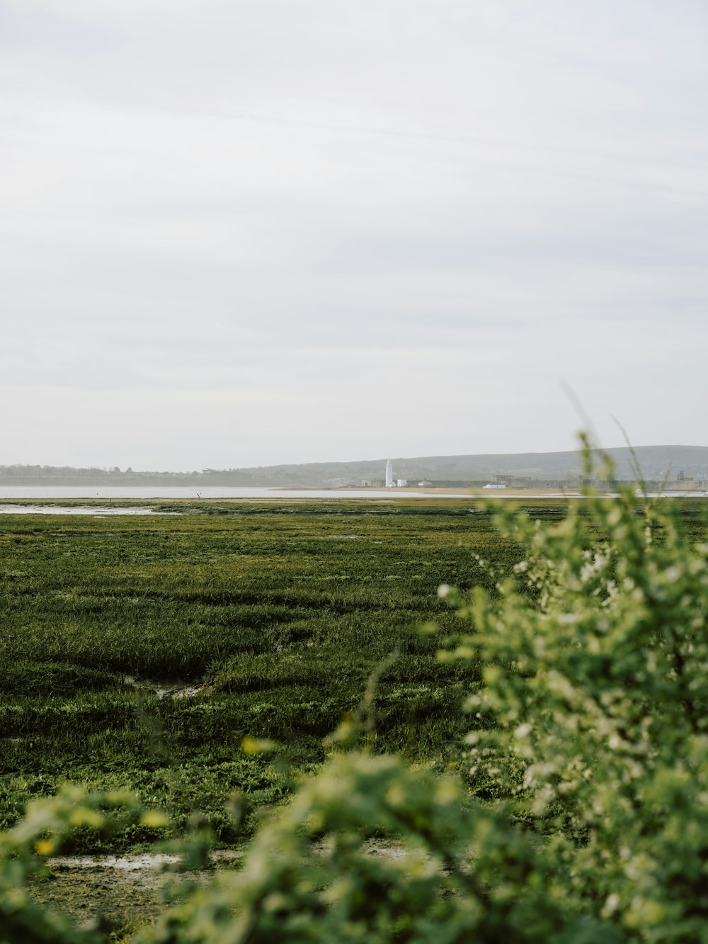 a grassy field with a body of water in the distance