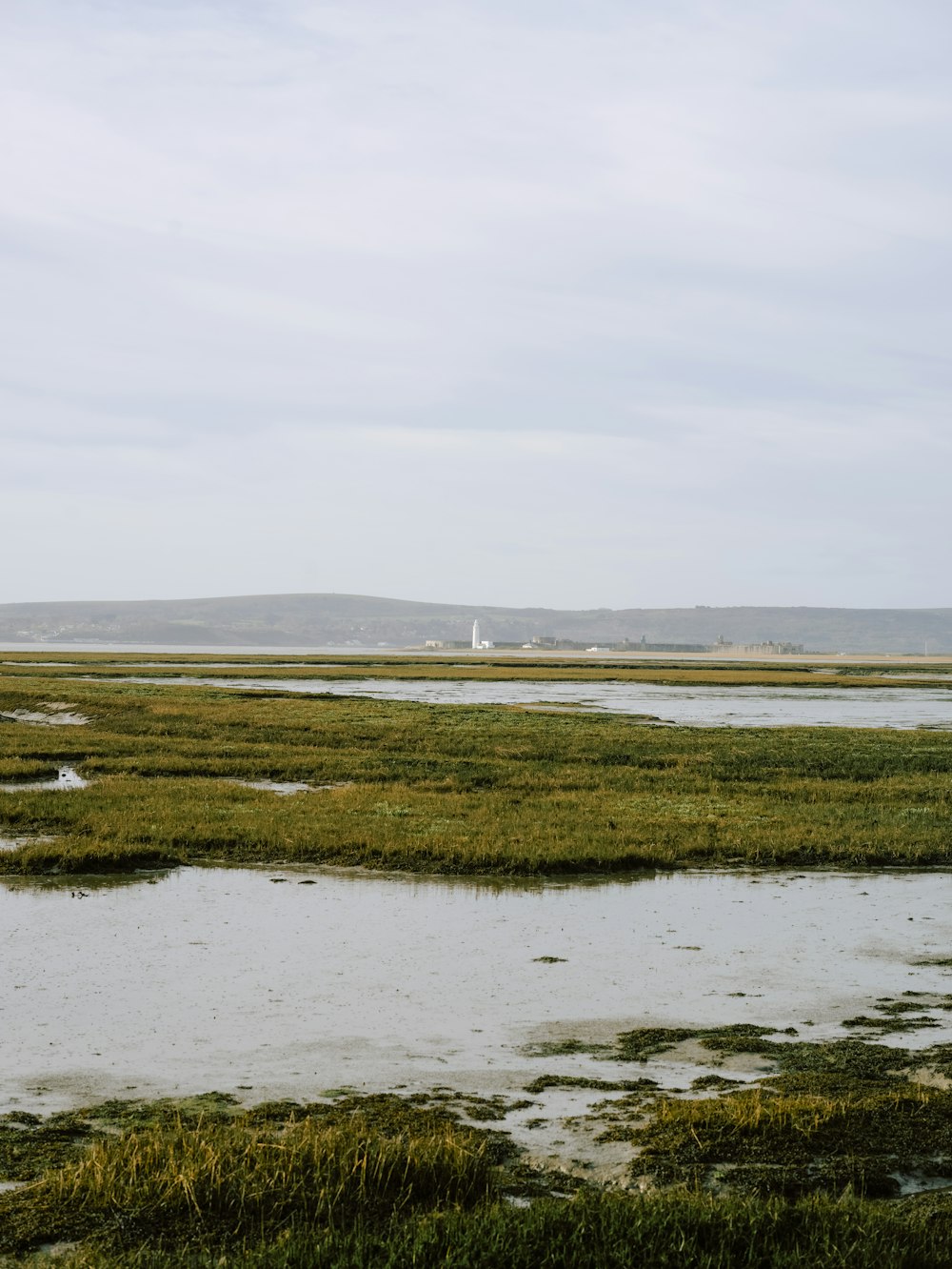 a large body of water surrounded by grass