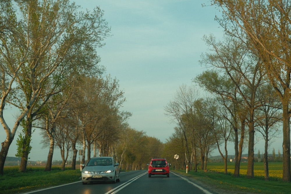 a car driving down a tree lined road