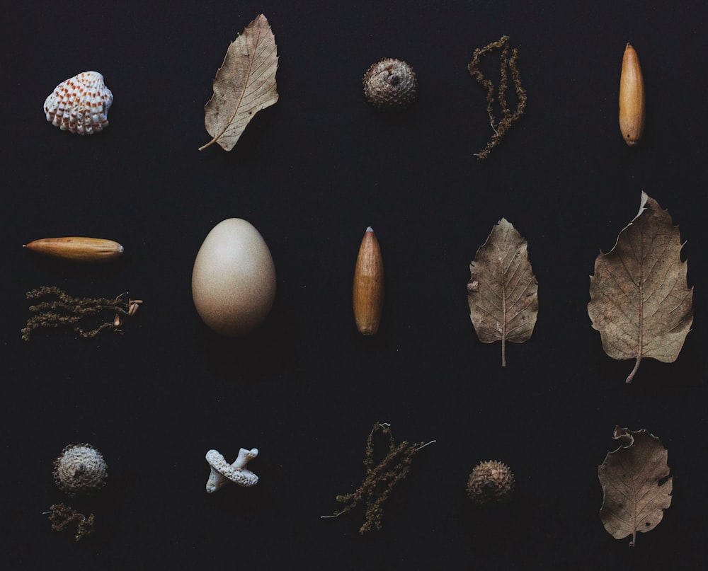 a group of different types of leaves and nuts