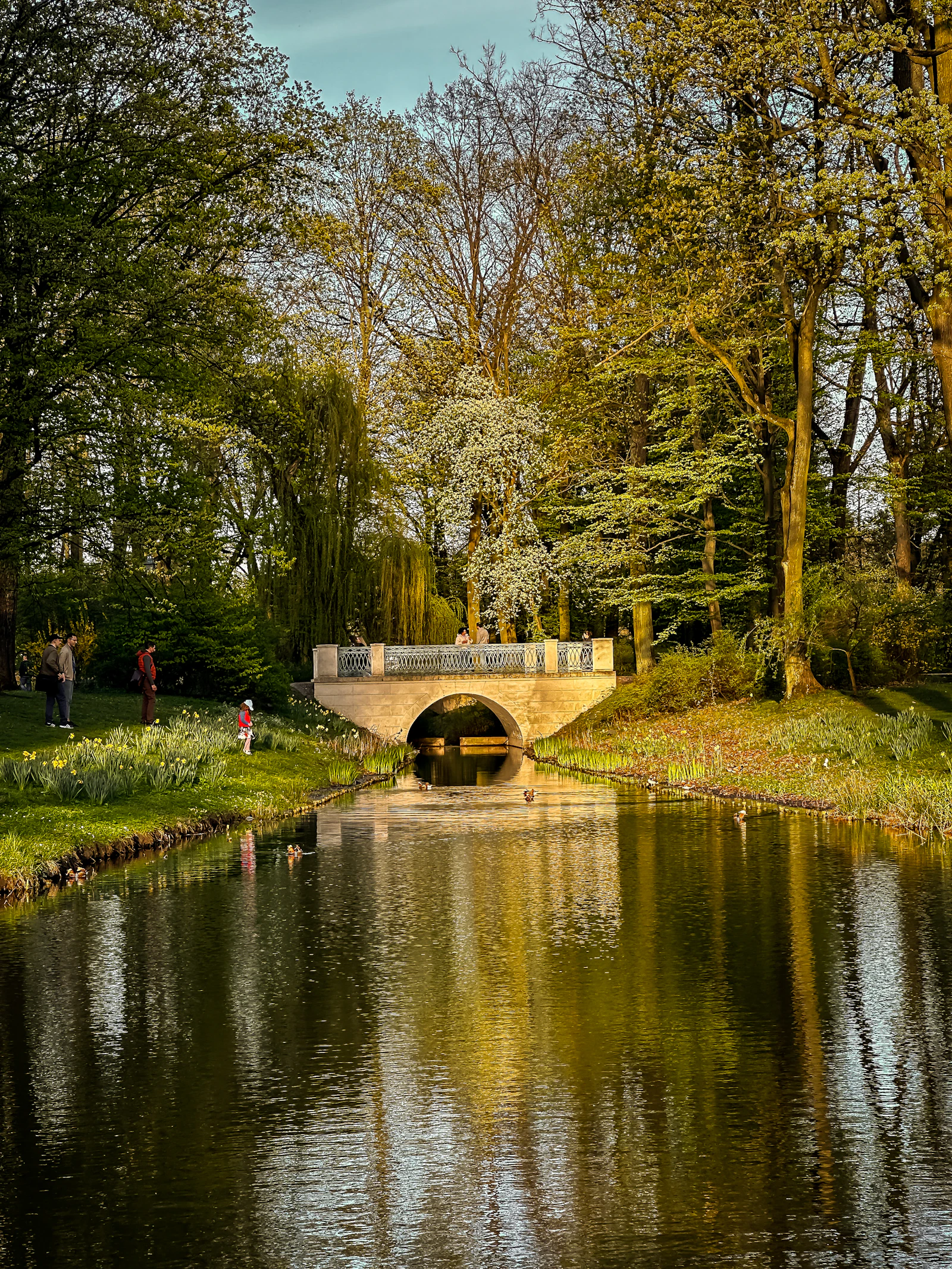 wiosenny park w Warszawie z mostkiem nad wodą