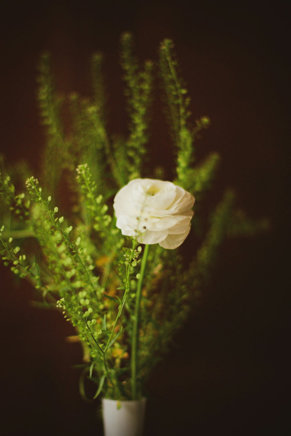 a white flower is in a white vase