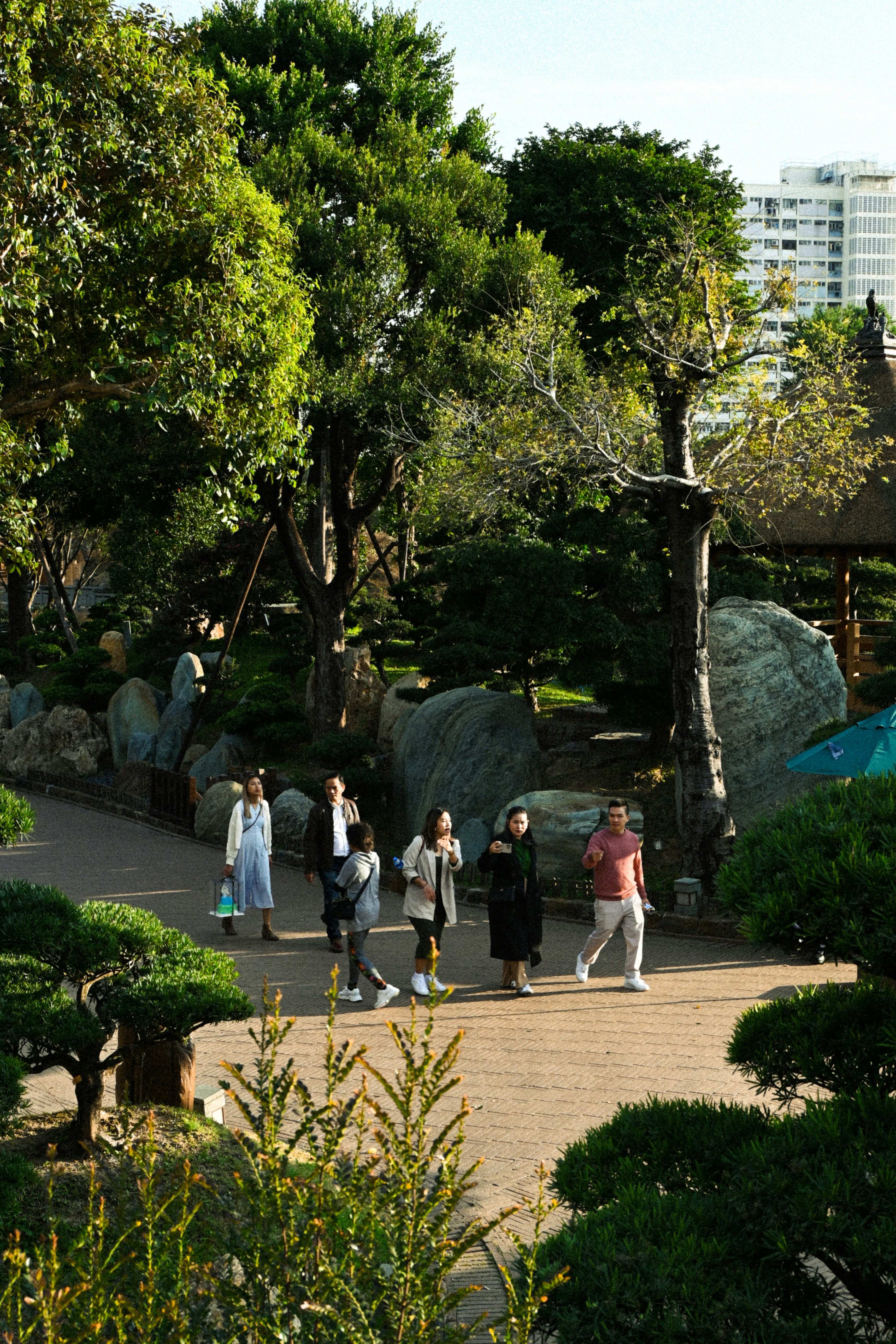 people walking in a garden with trees and plants