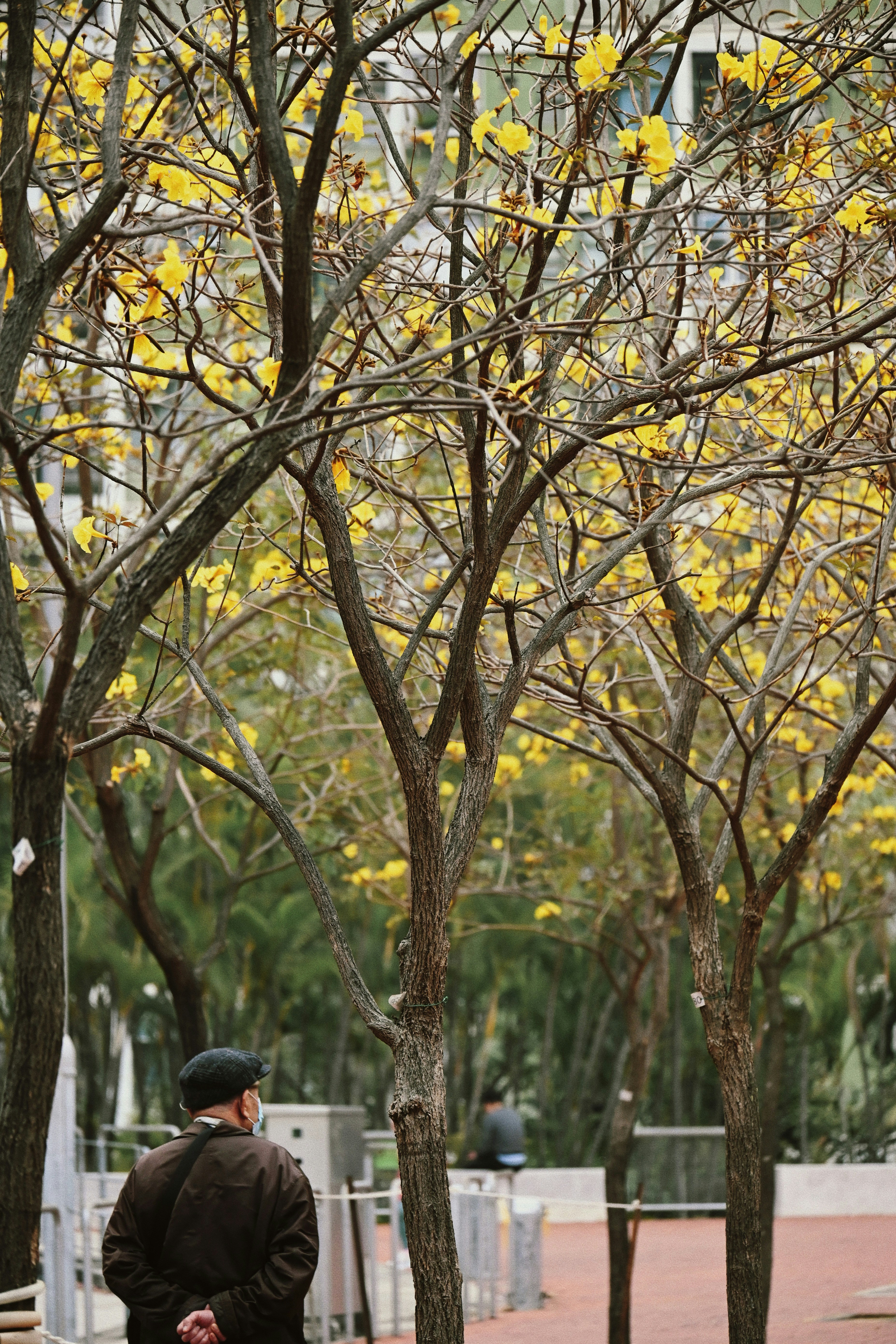 doctor-image