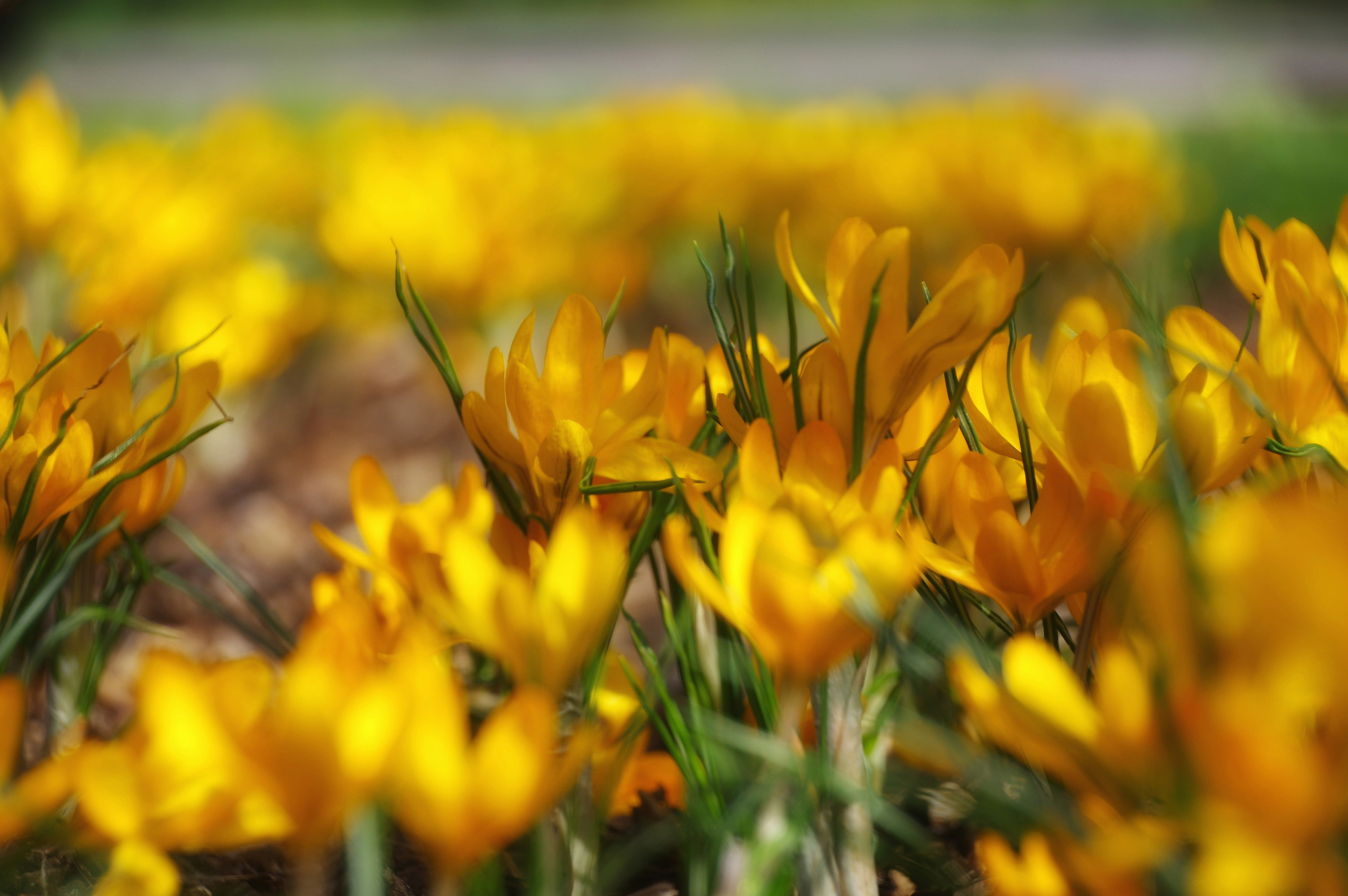 Image by Bruno Brikmanis-Jurjans via Unsplash