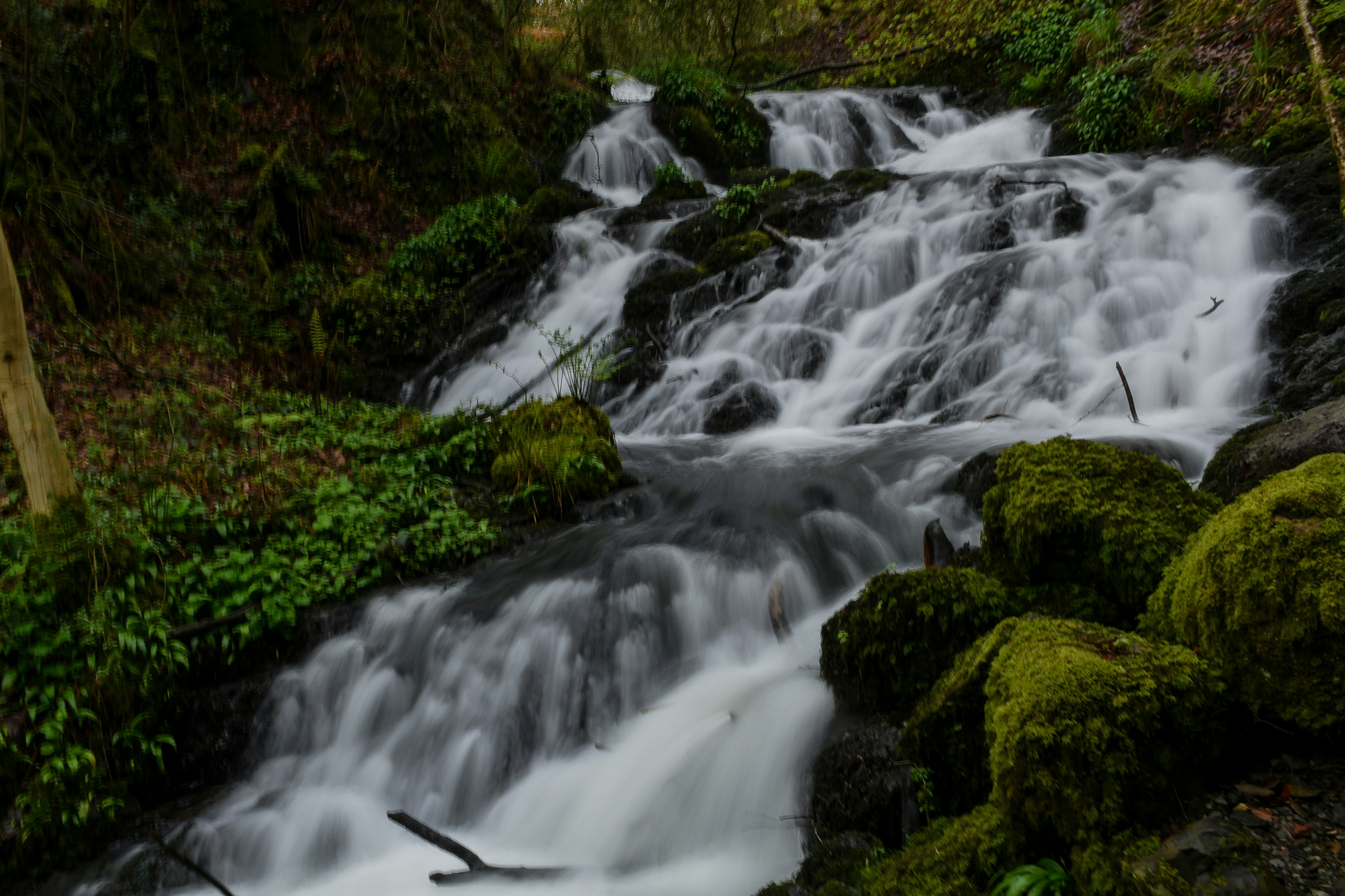 Photo by julia_fiander