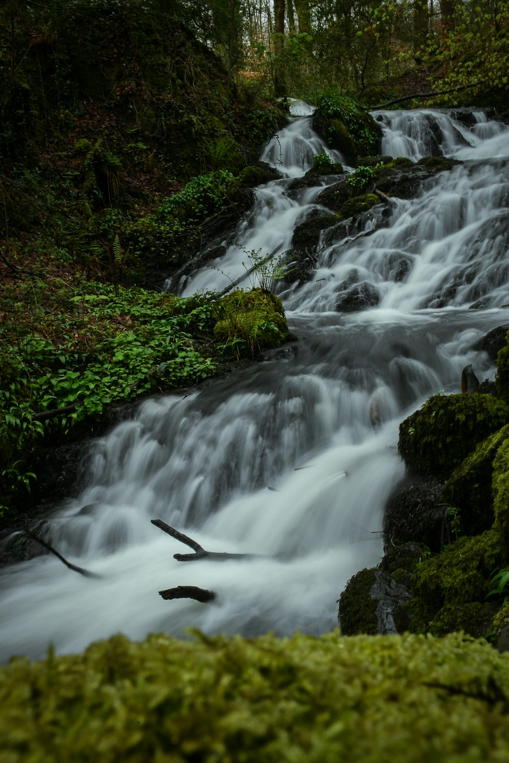 a small waterfall in the middle of a forest