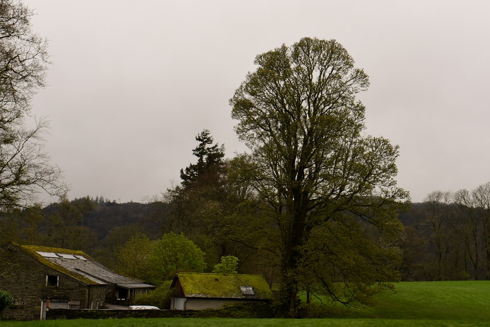 畑の中の屋上緑化の家