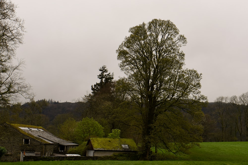 a house with a green roof in a field