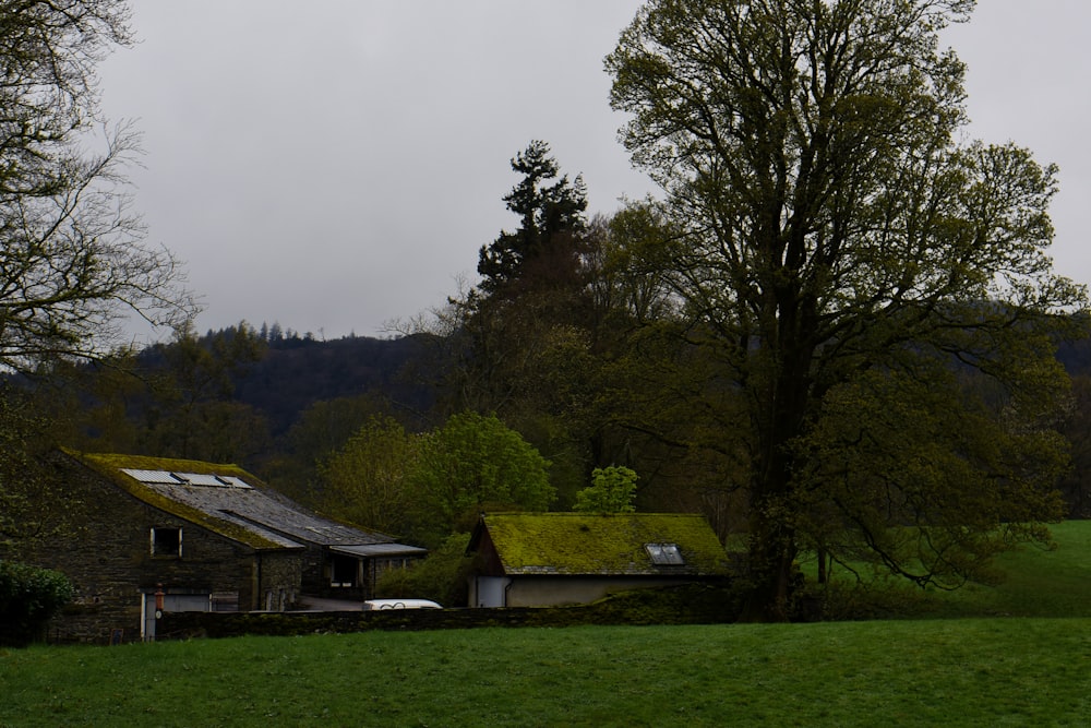 a house with a green roof in the middle of a field