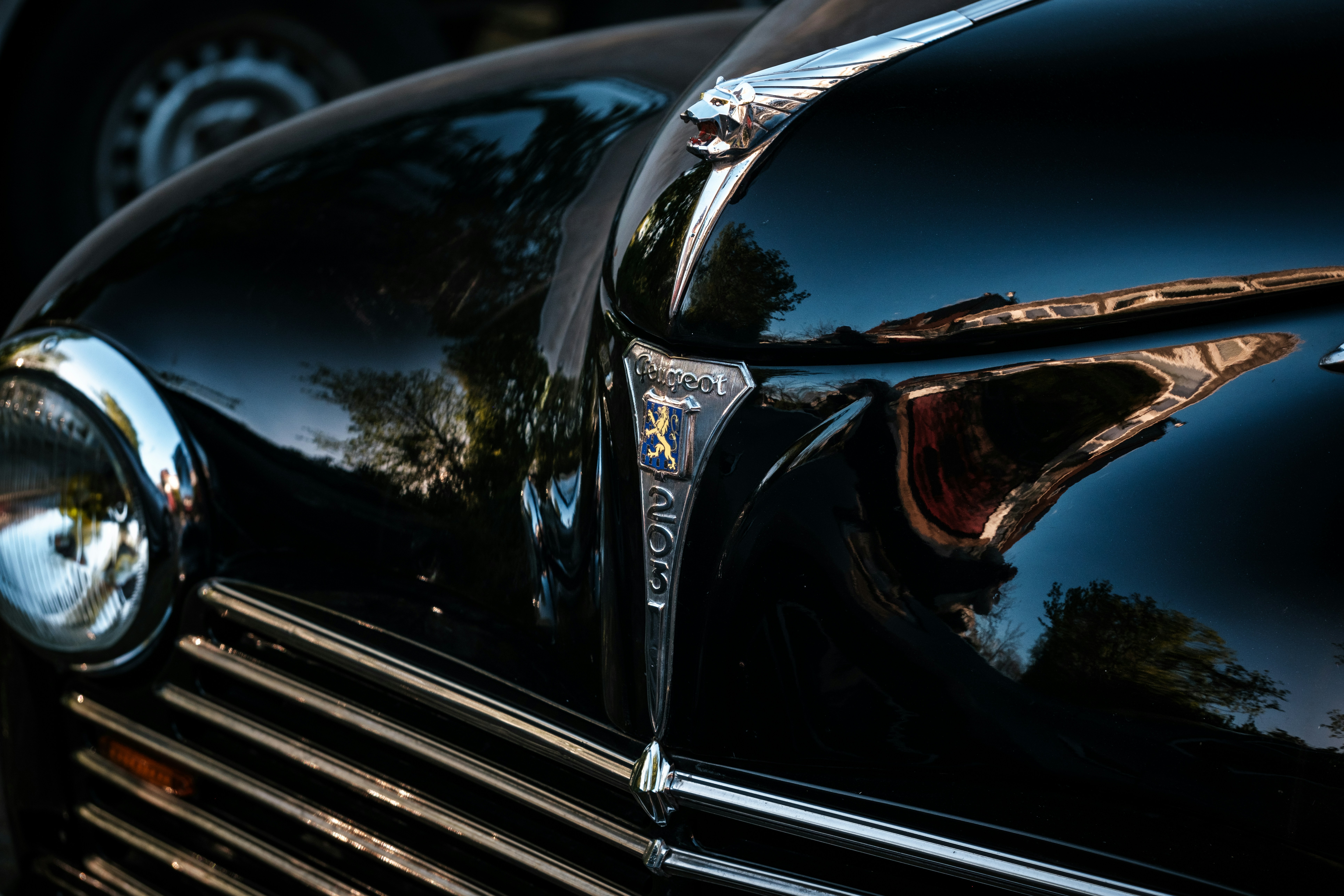 Photo by haberdoedas2