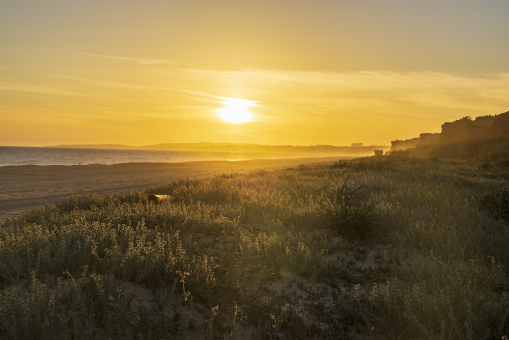 the sun is setting over the ocean and a beach