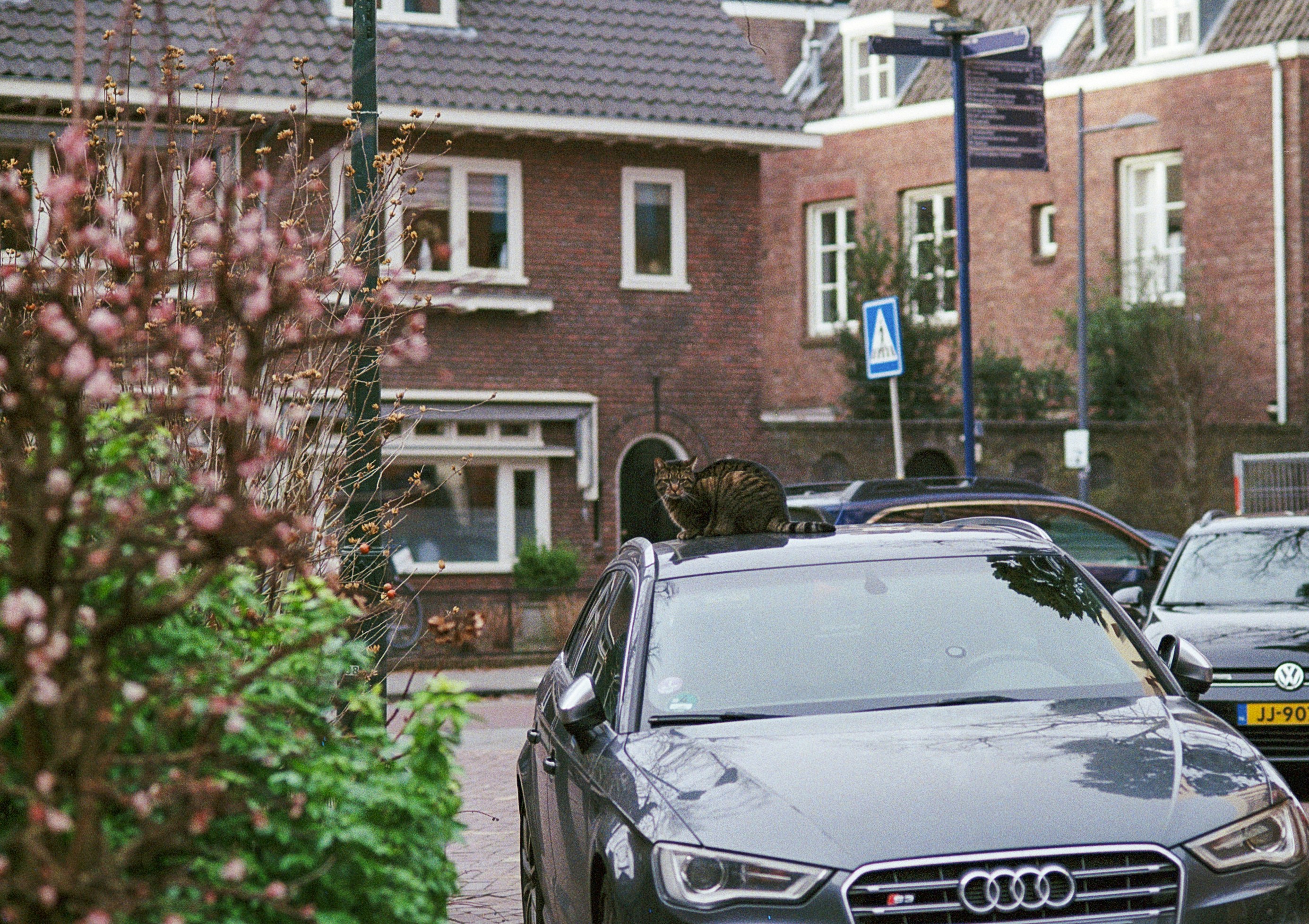 Photo by artistseyes