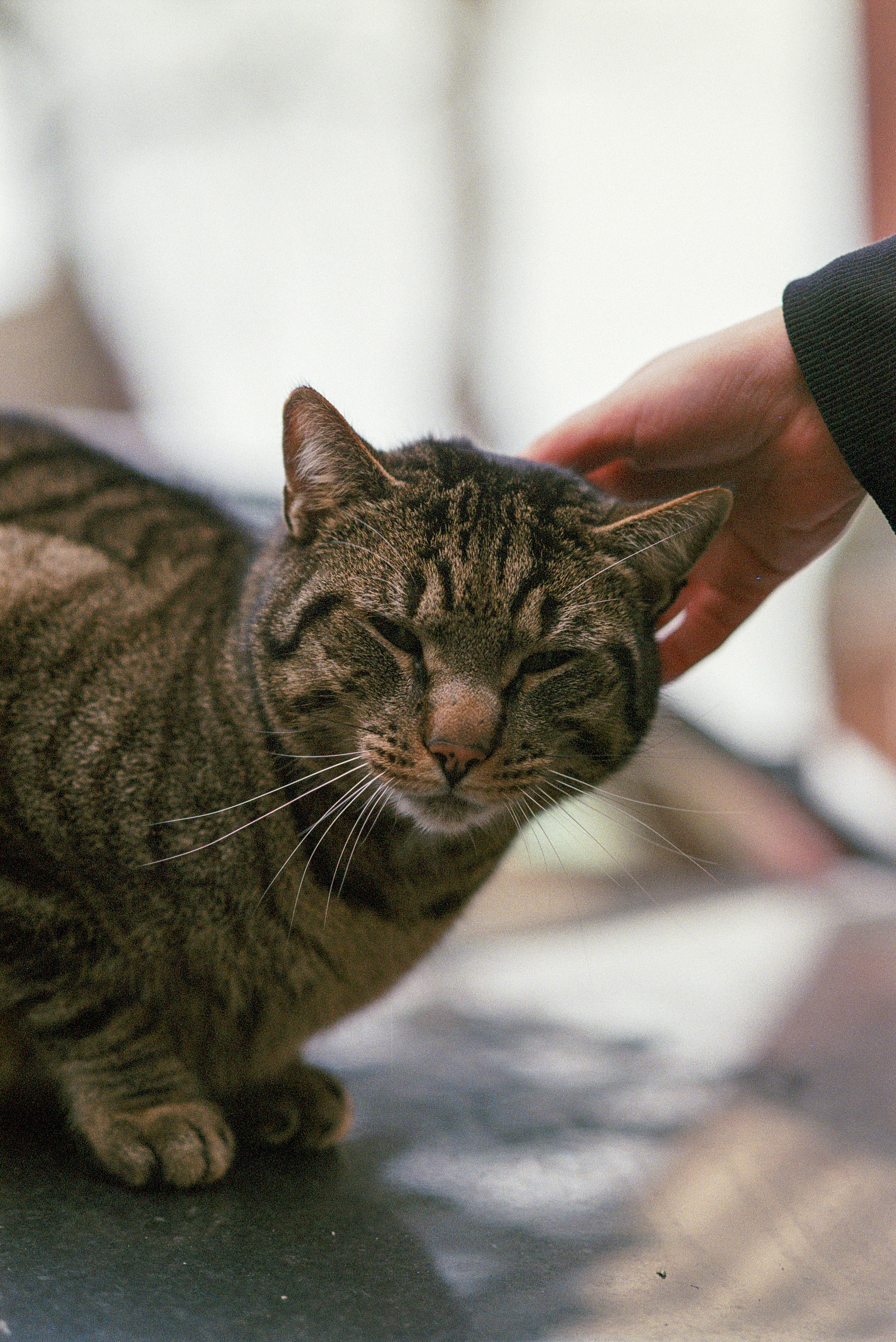Respecting Boundaries During Interaction (image credits: unsplash)