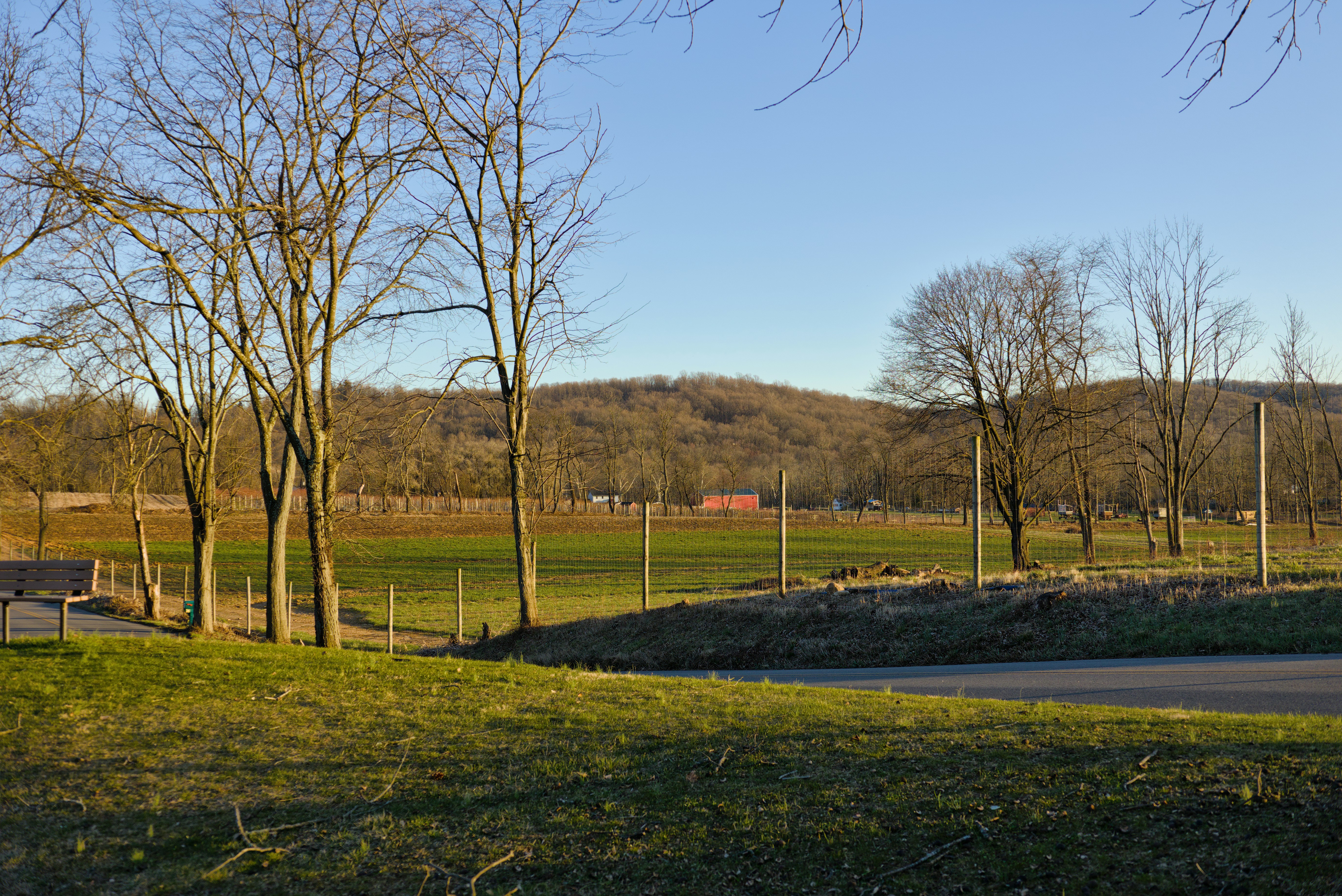 a grassy field with trees and a road