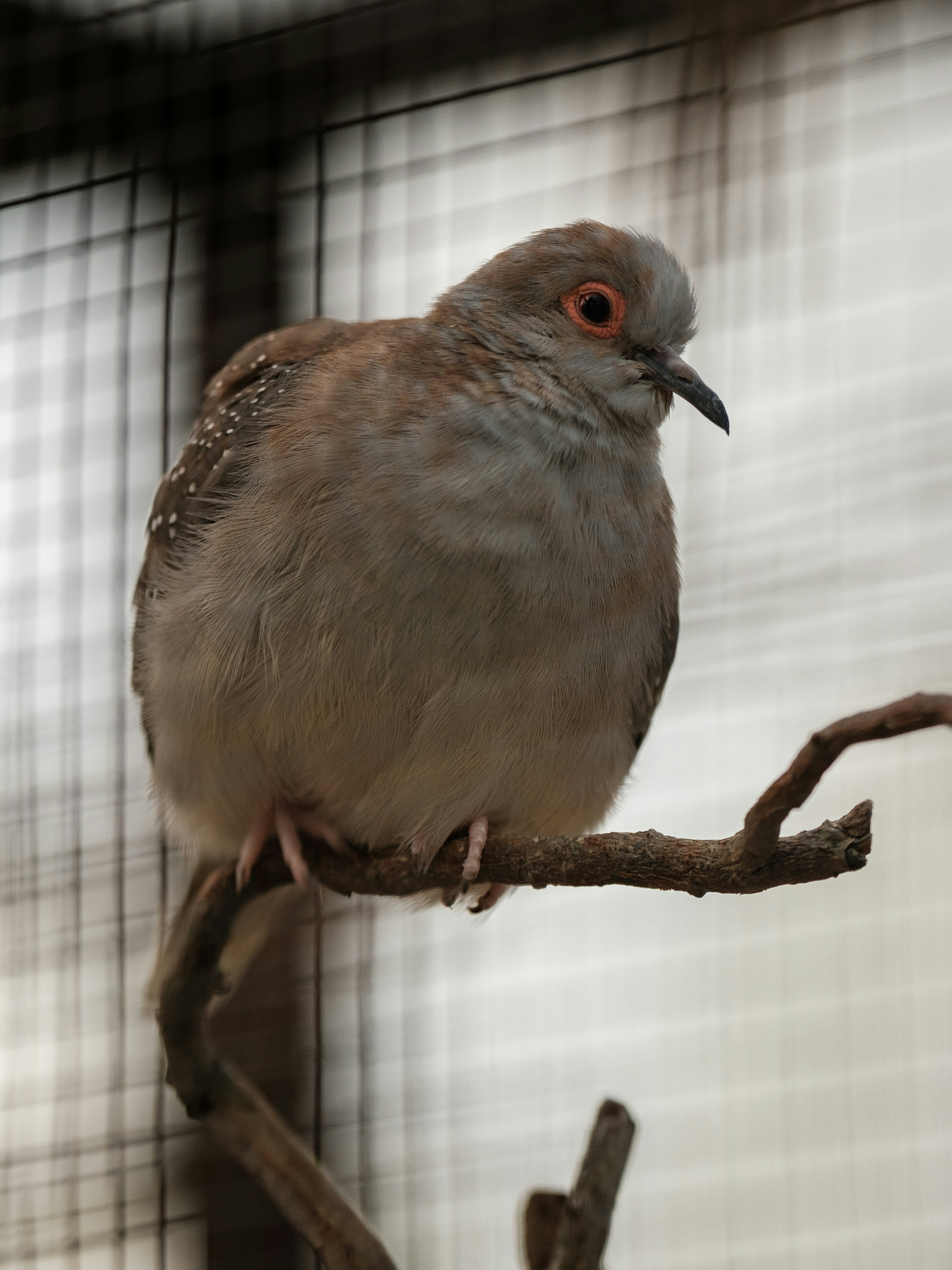 Photo by haberdoedas2