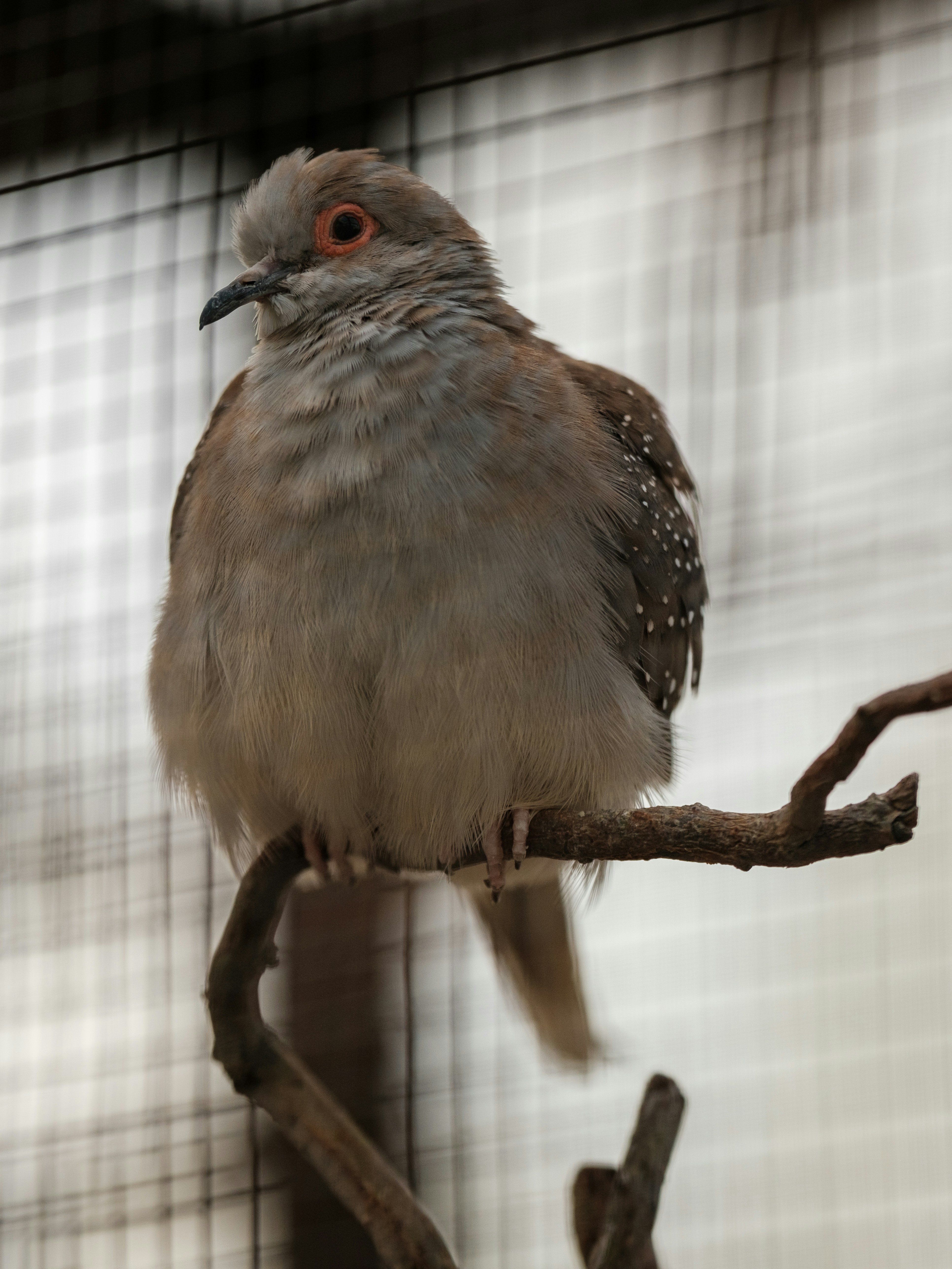 Photo by haberdoedas2