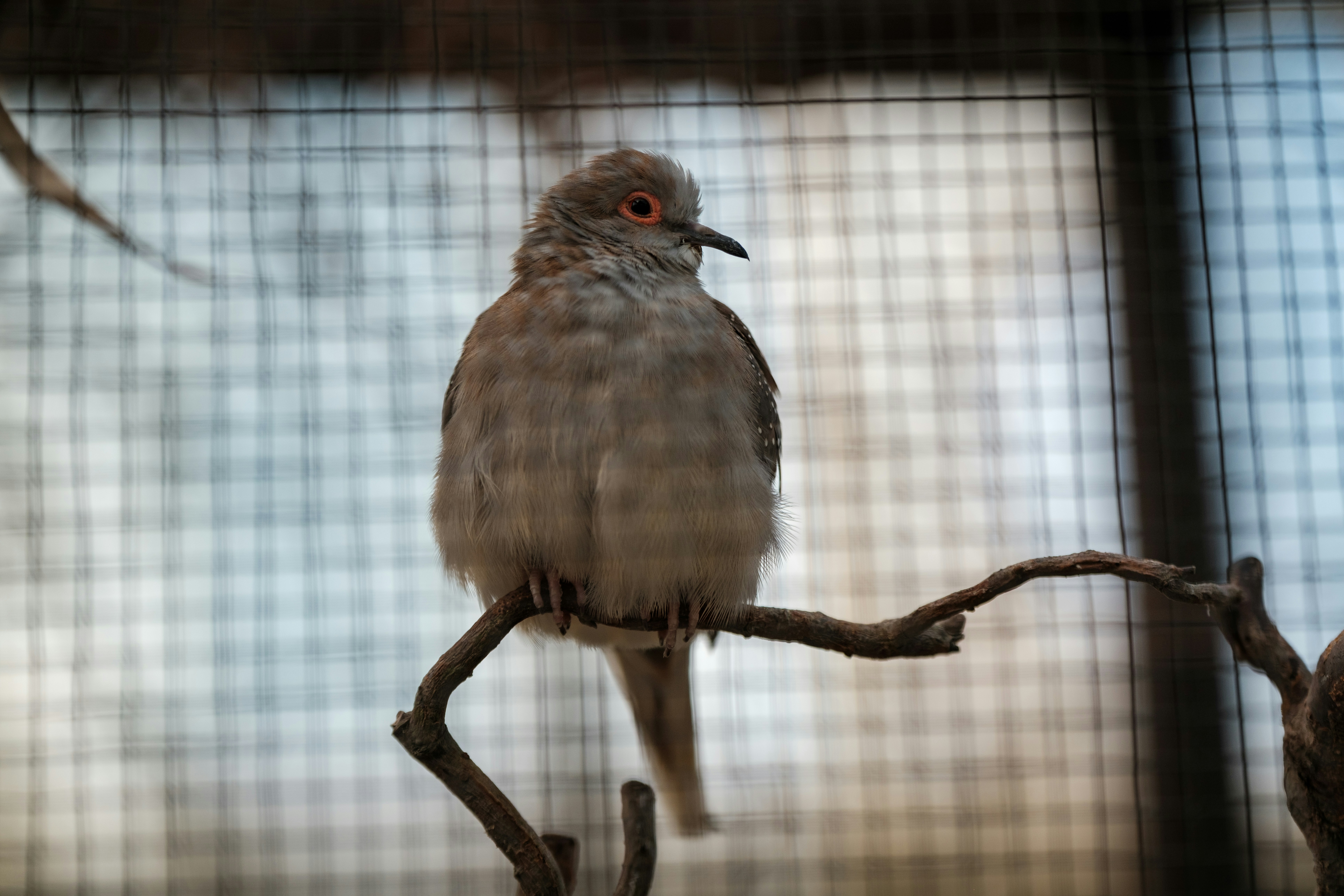 Photo by haberdoedas2