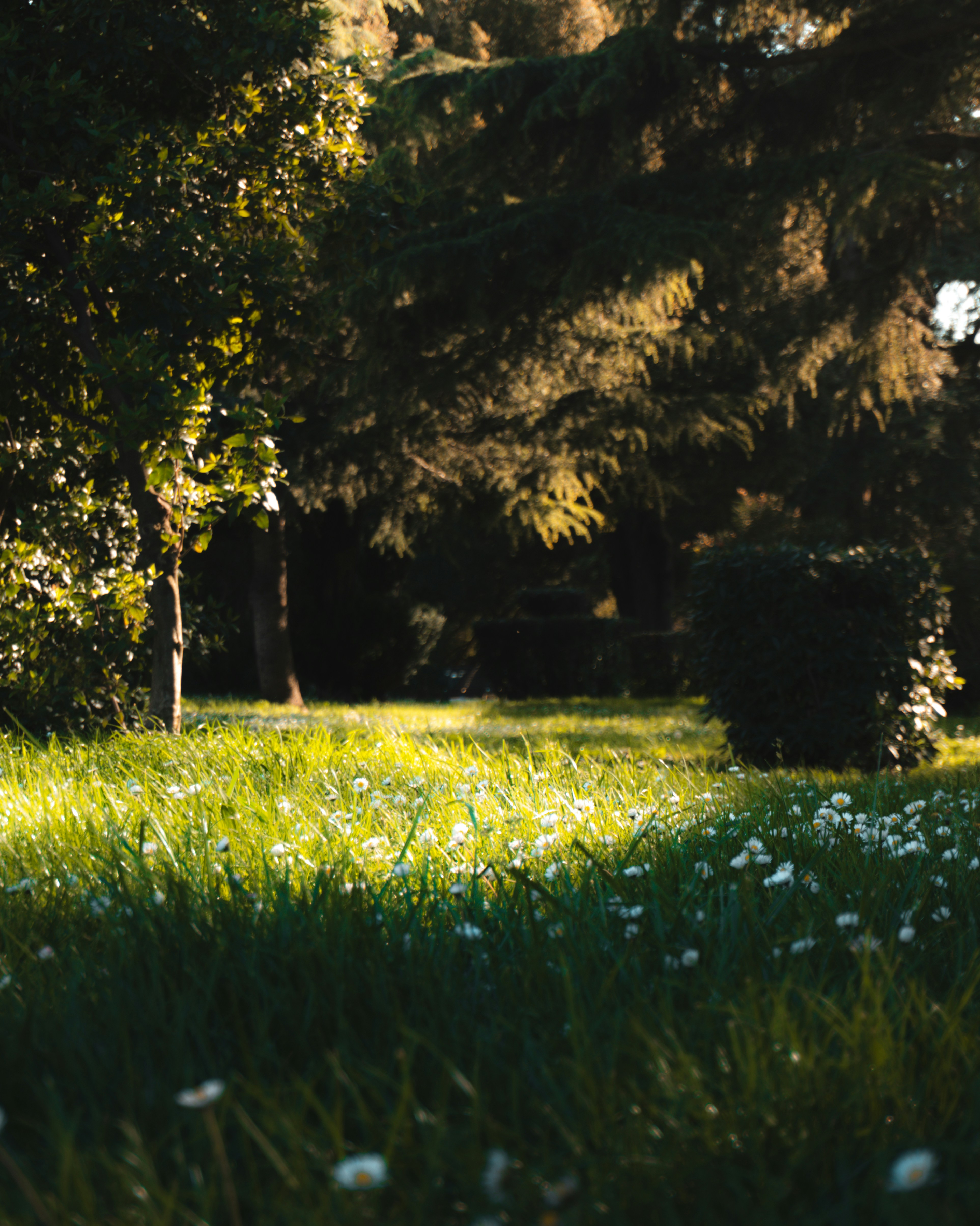 Photo by puskas_dominik