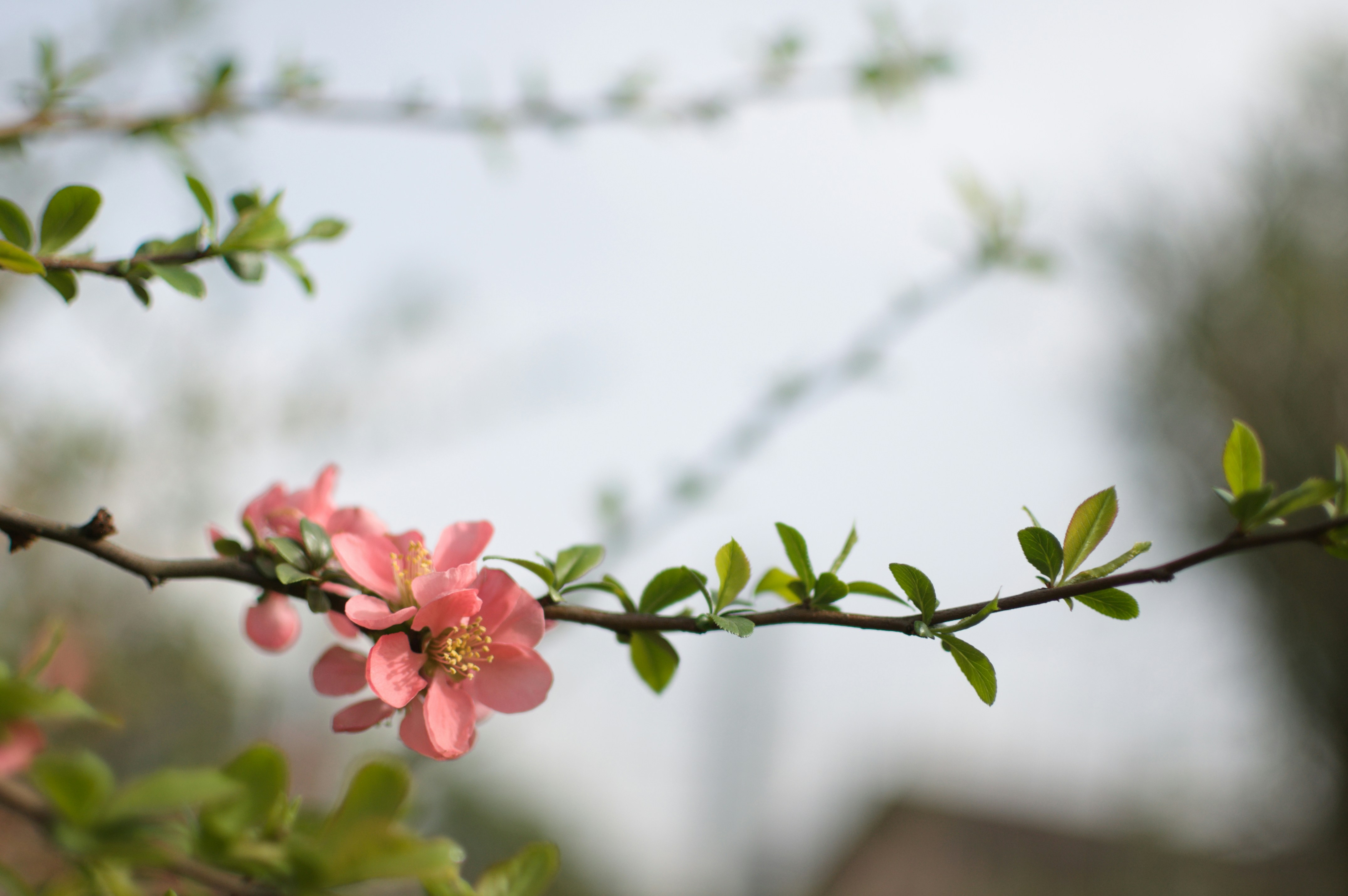 Photo by mario_gggggg