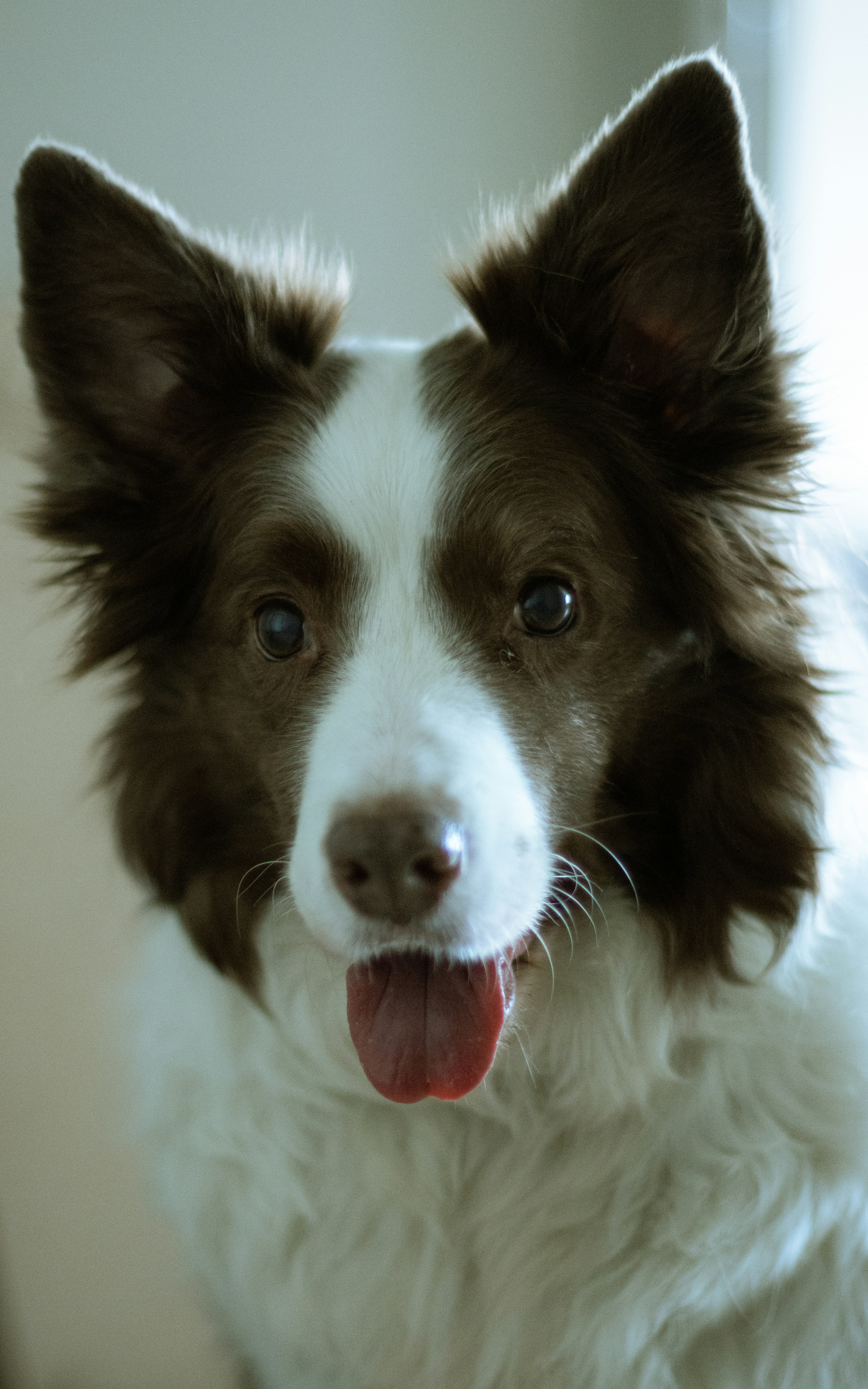 Photo by irina_chishkova