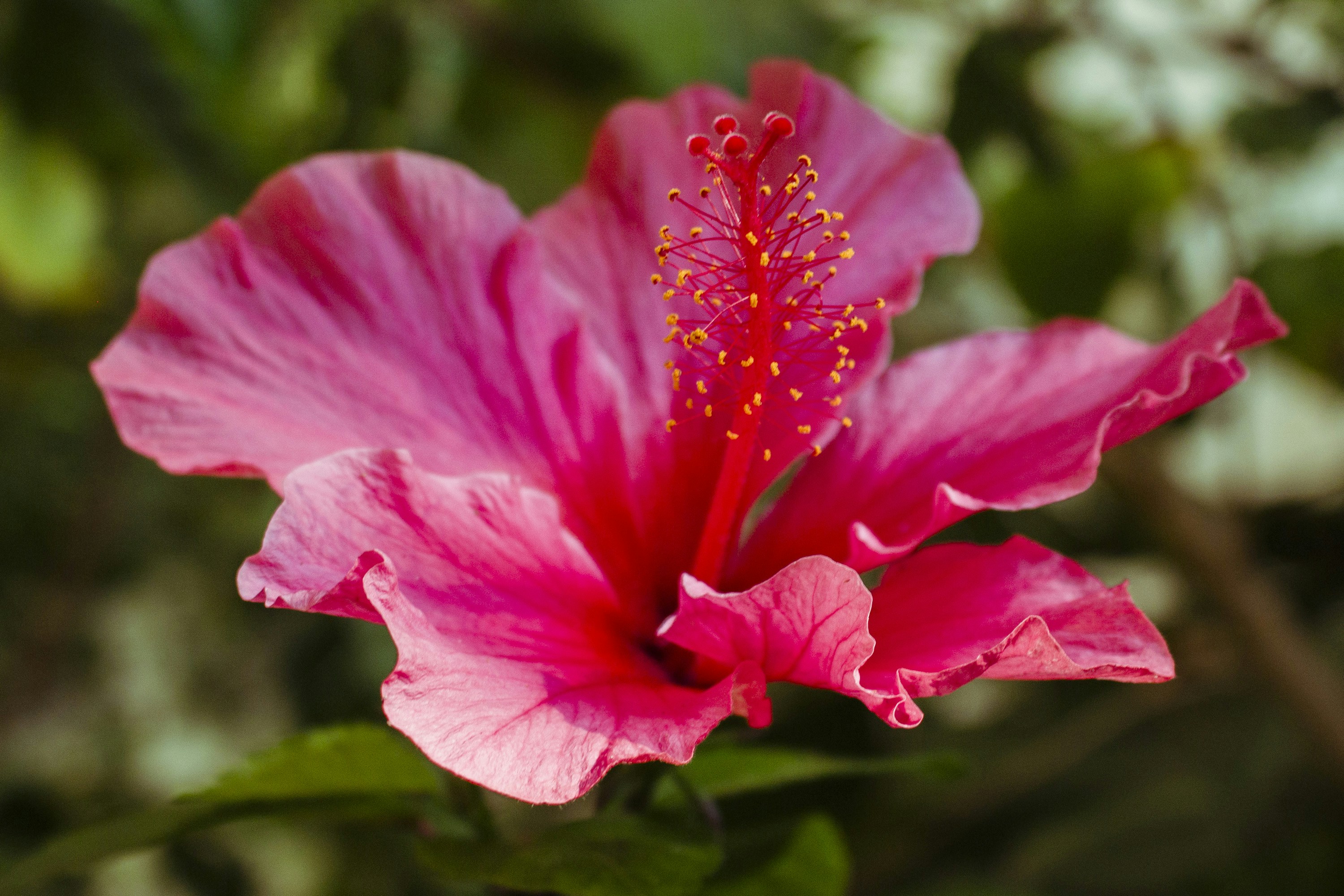 Photo by amylynngrover