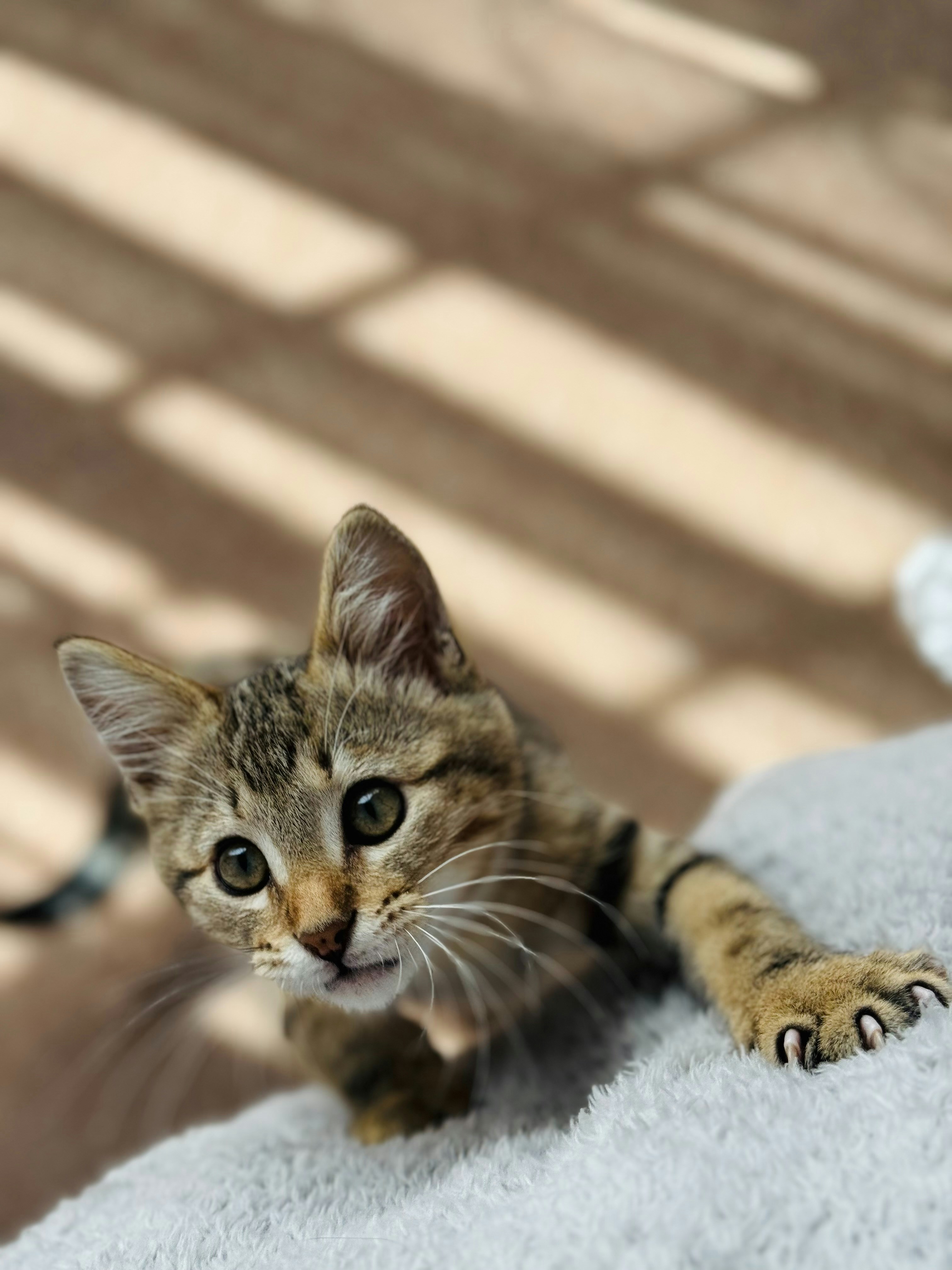 Photo by christiantv