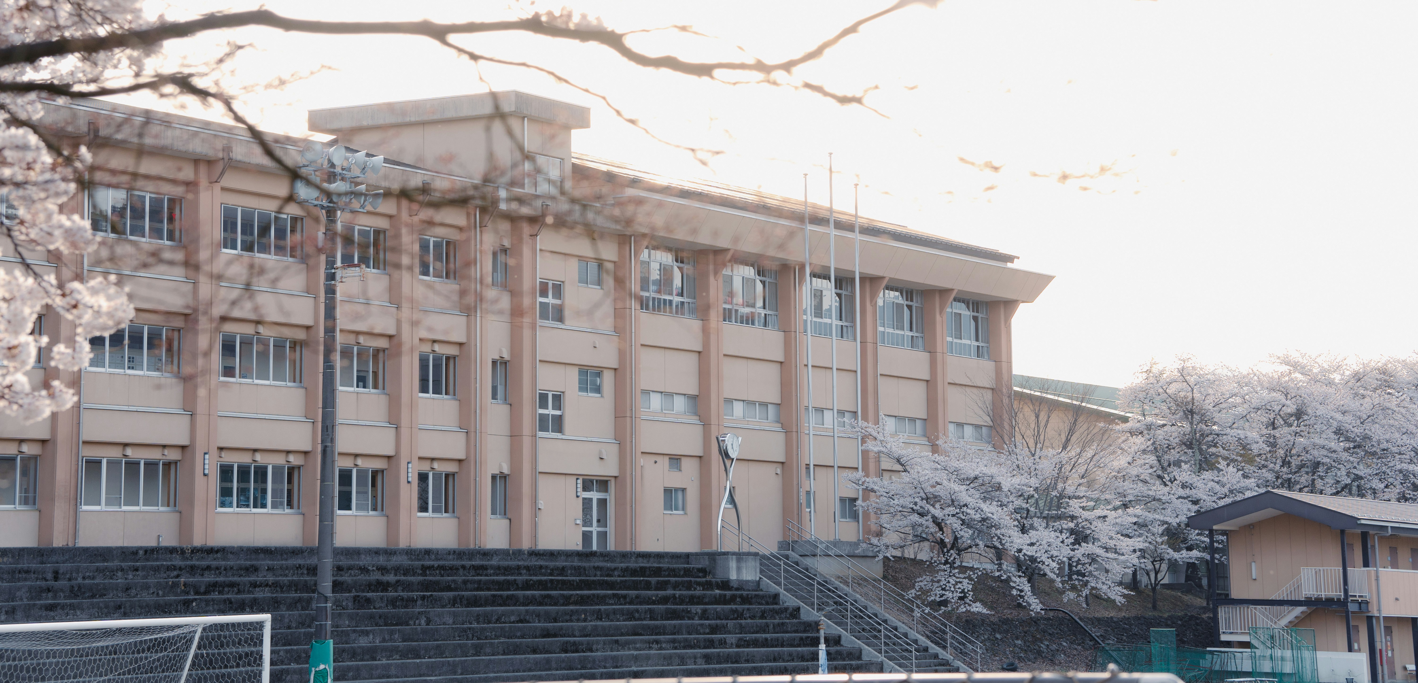 School with cherry blossoms