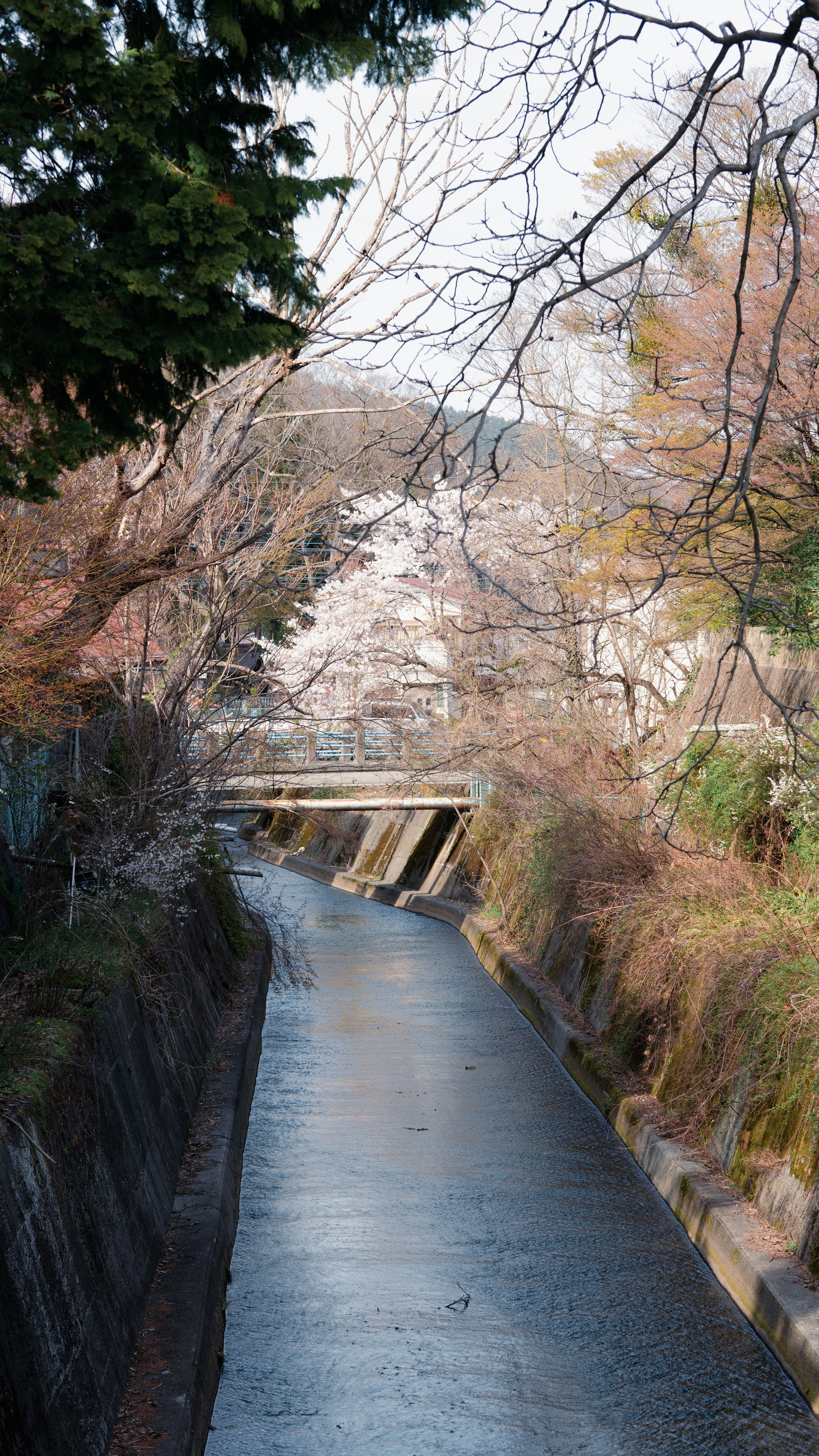 Photo by kngstm