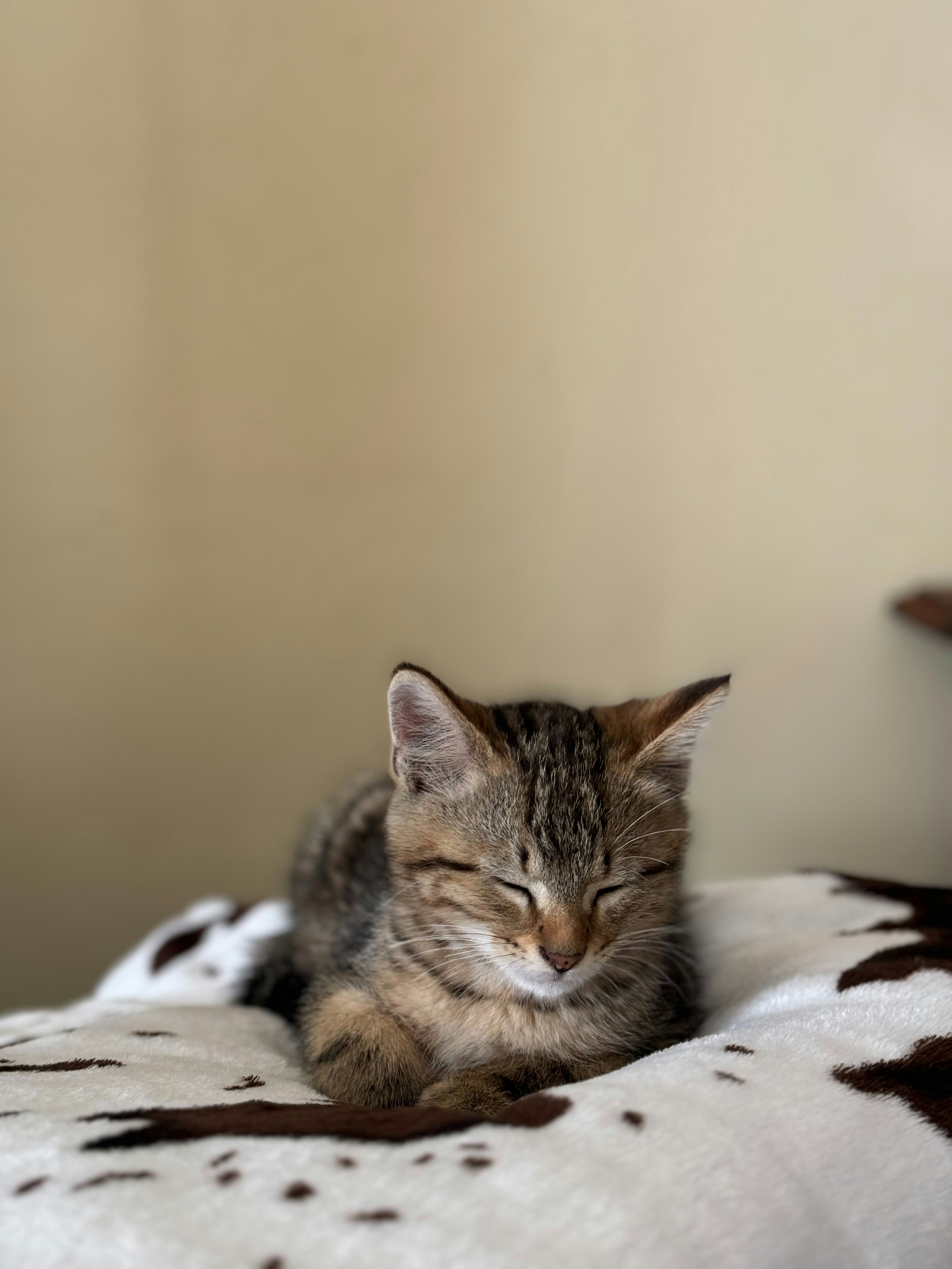 Photo by christiantv