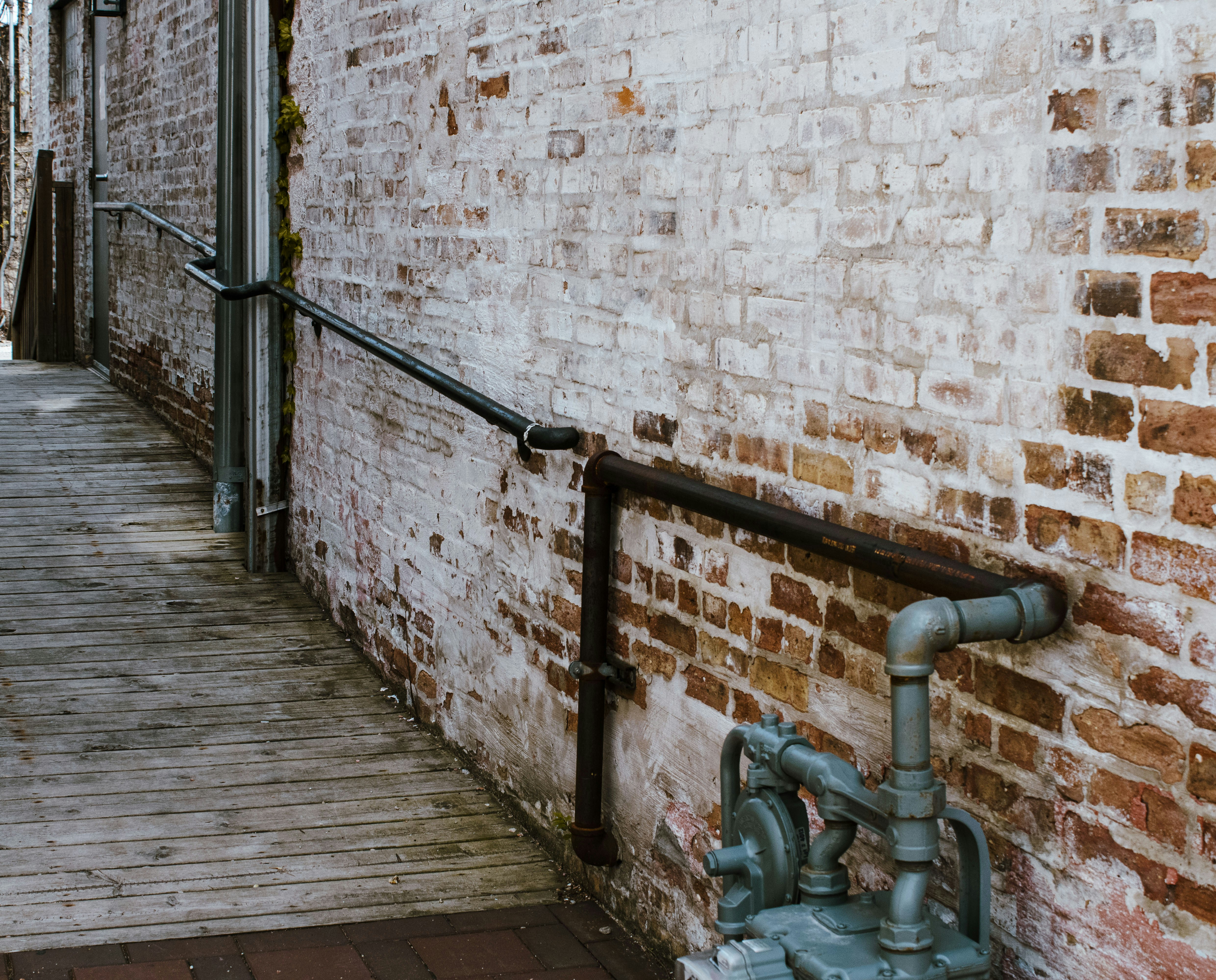 Photo by paigelaineelmer_photos