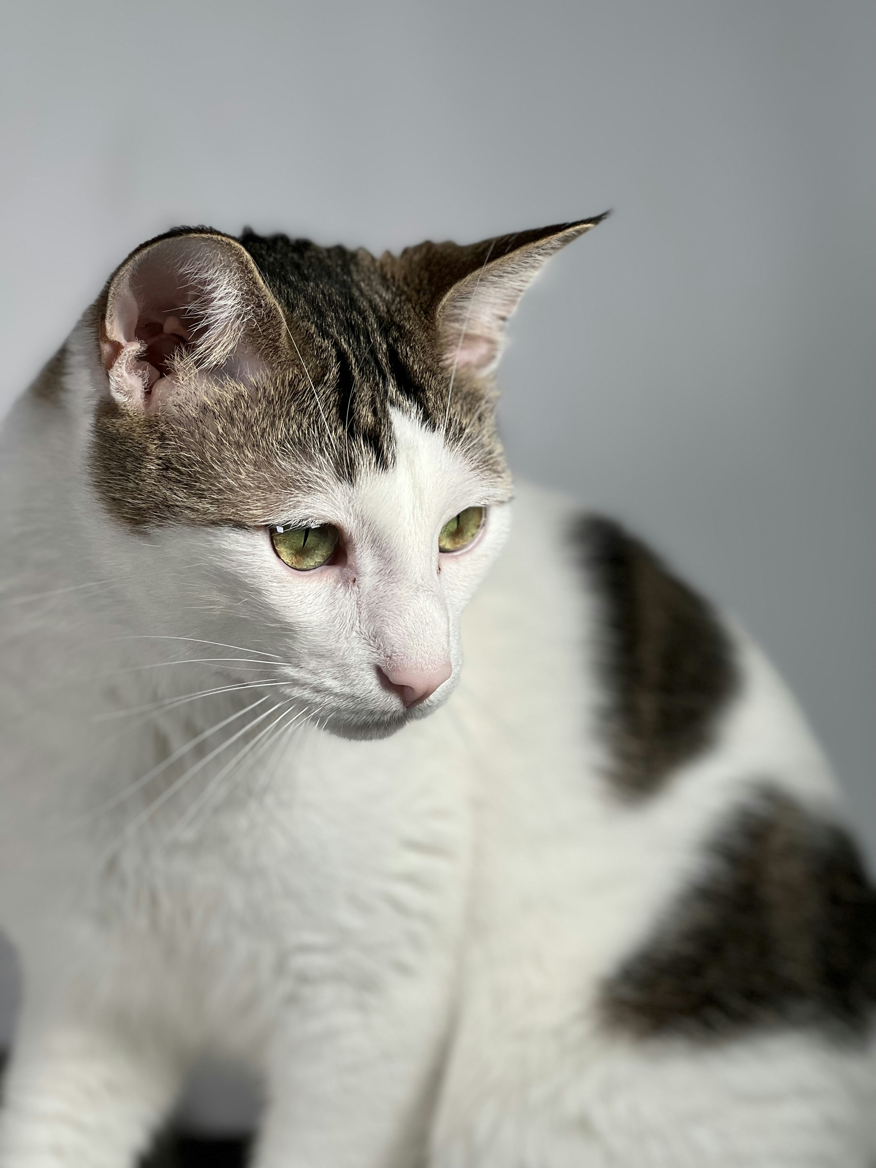 Photo by anairomasanta