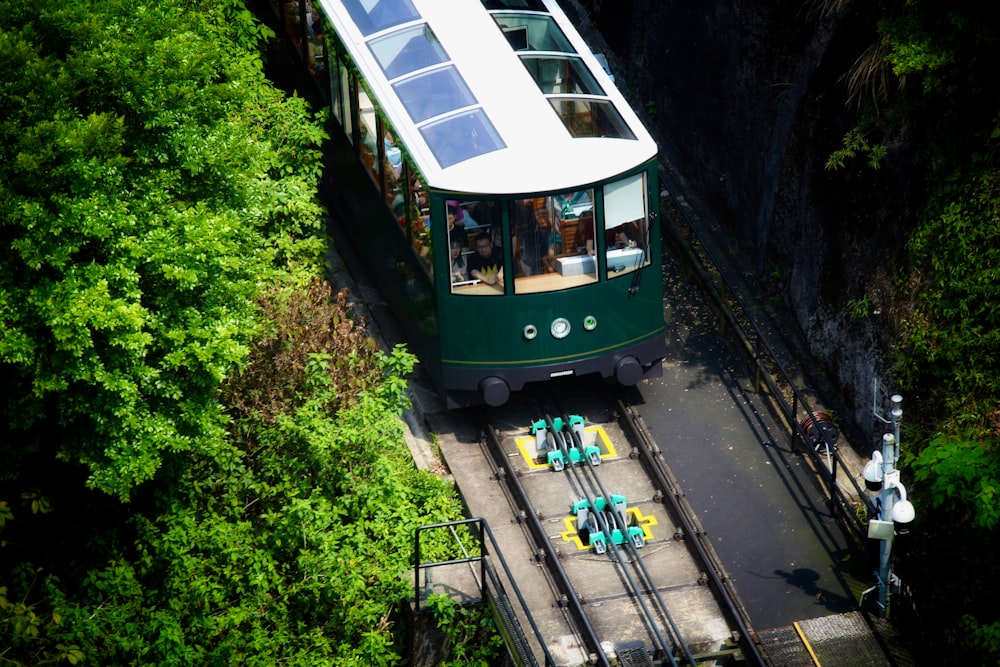 a green and white train traveling through a lush green forest