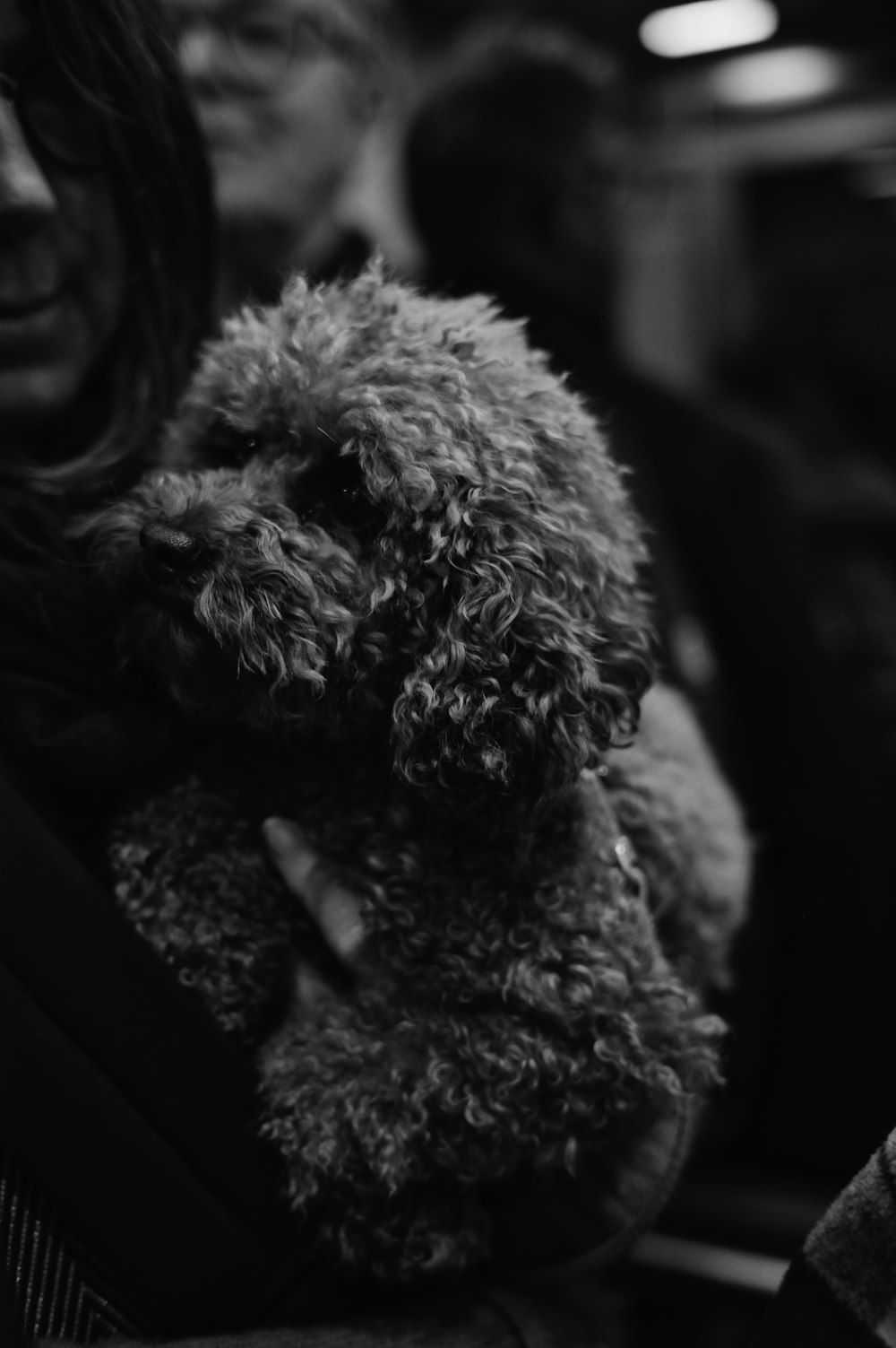 a black and white photo of a woman holding a teddy bear