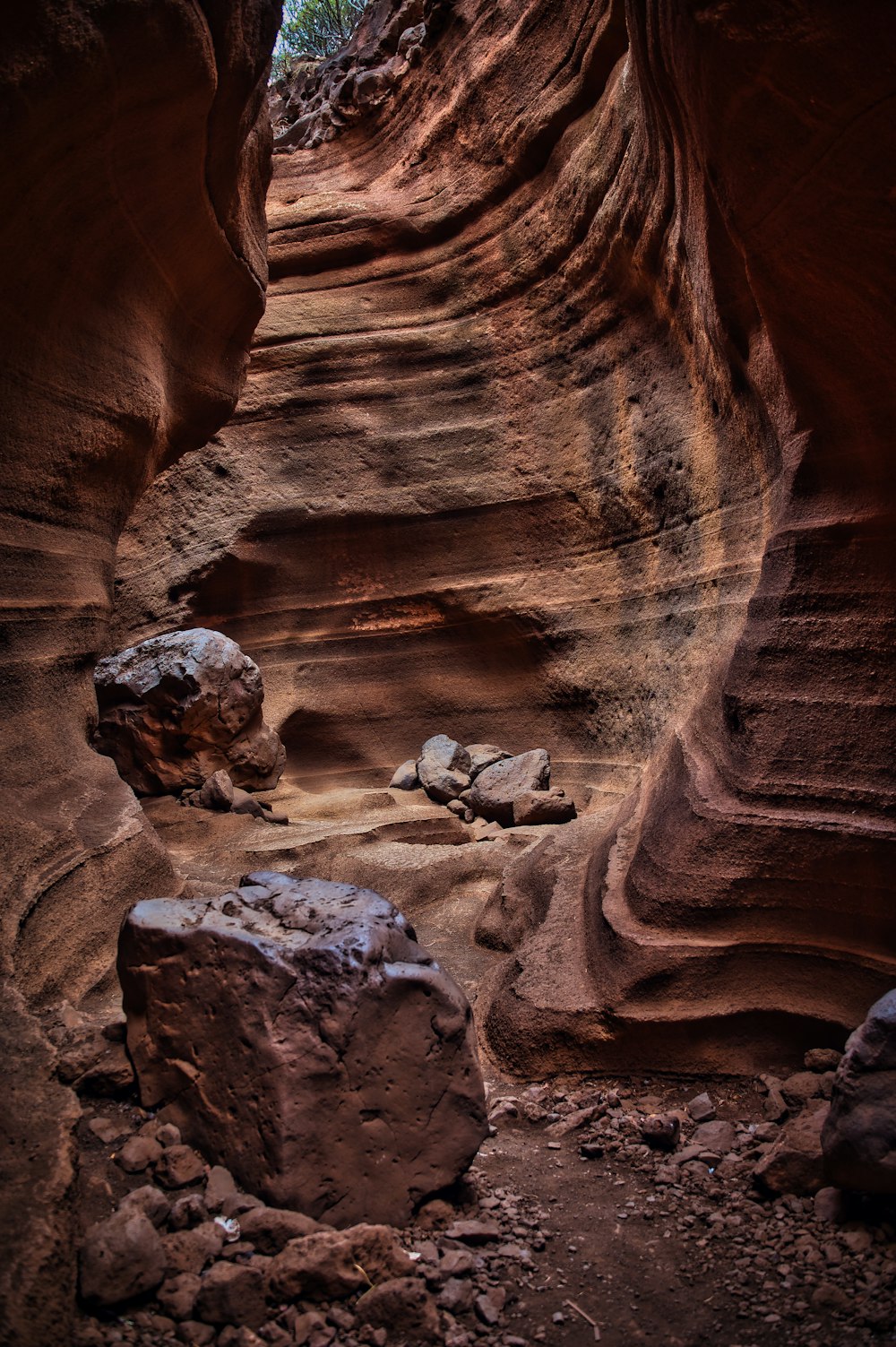 a narrow canyon with rocks and trees in the background