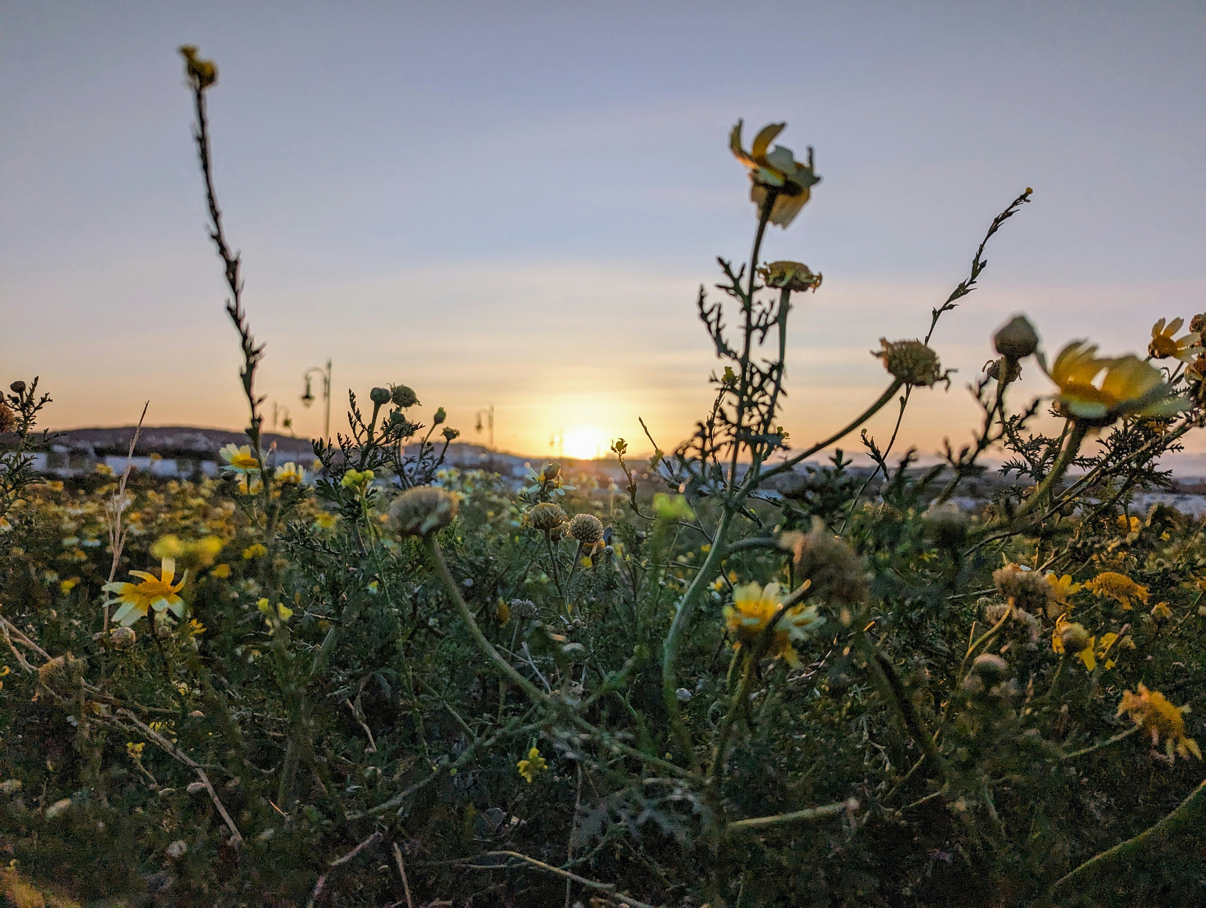 Photo by soufianeelkalai