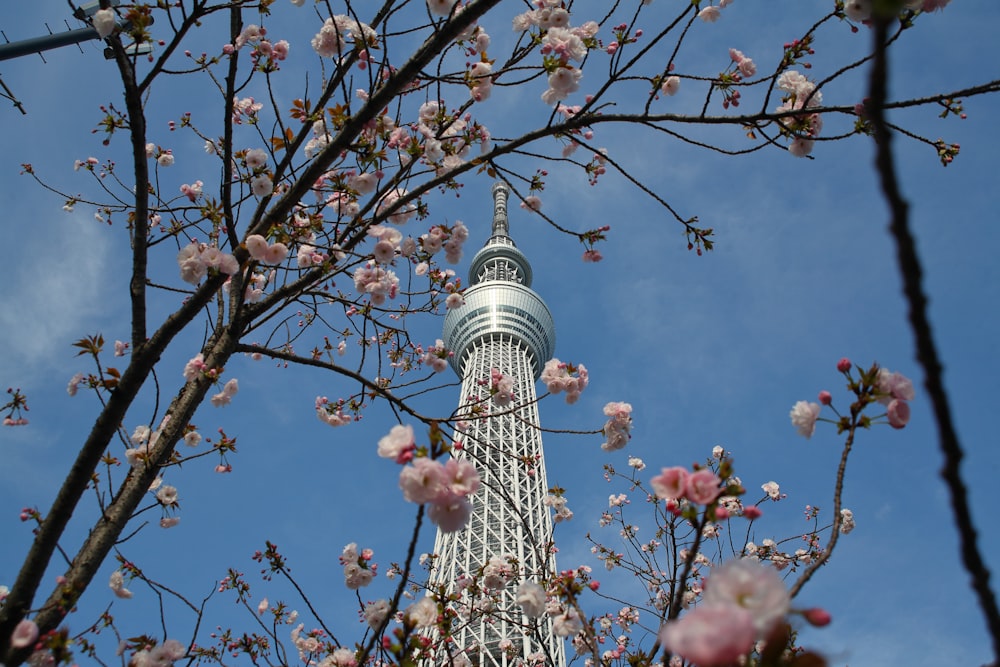 une très haute tour avec beaucoup de fleurs roses dessus